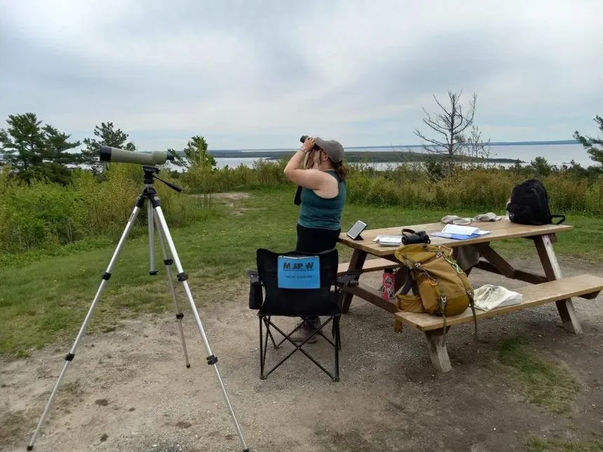 A woman observing with binoculars at a scenic outdoor location with a body of water in the distance, surrounded by trees and grassy area, with a telescope on a tripod nearby, and a picnic table with various outdoor gear and notebooks.