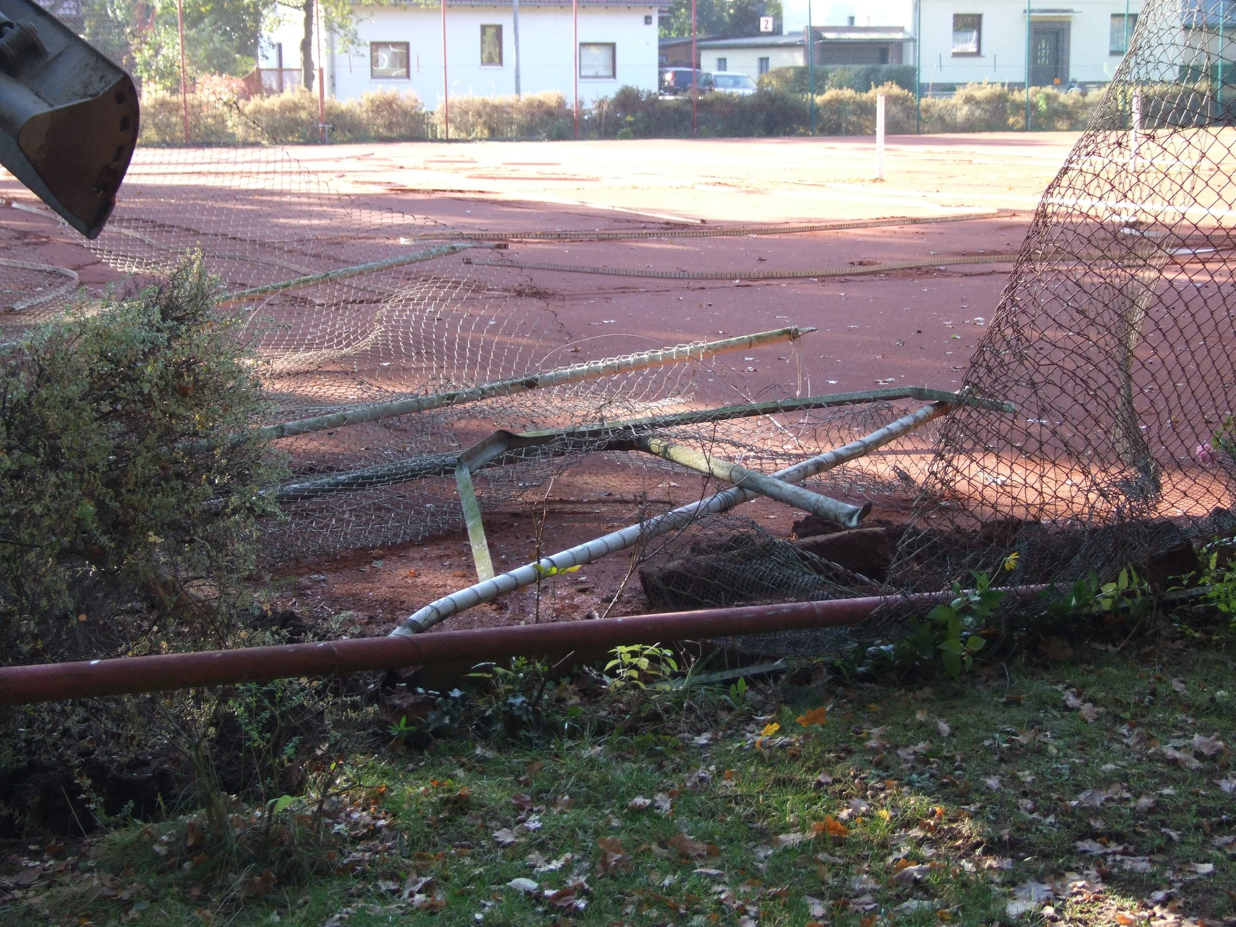 die hecke muss weg.jpg