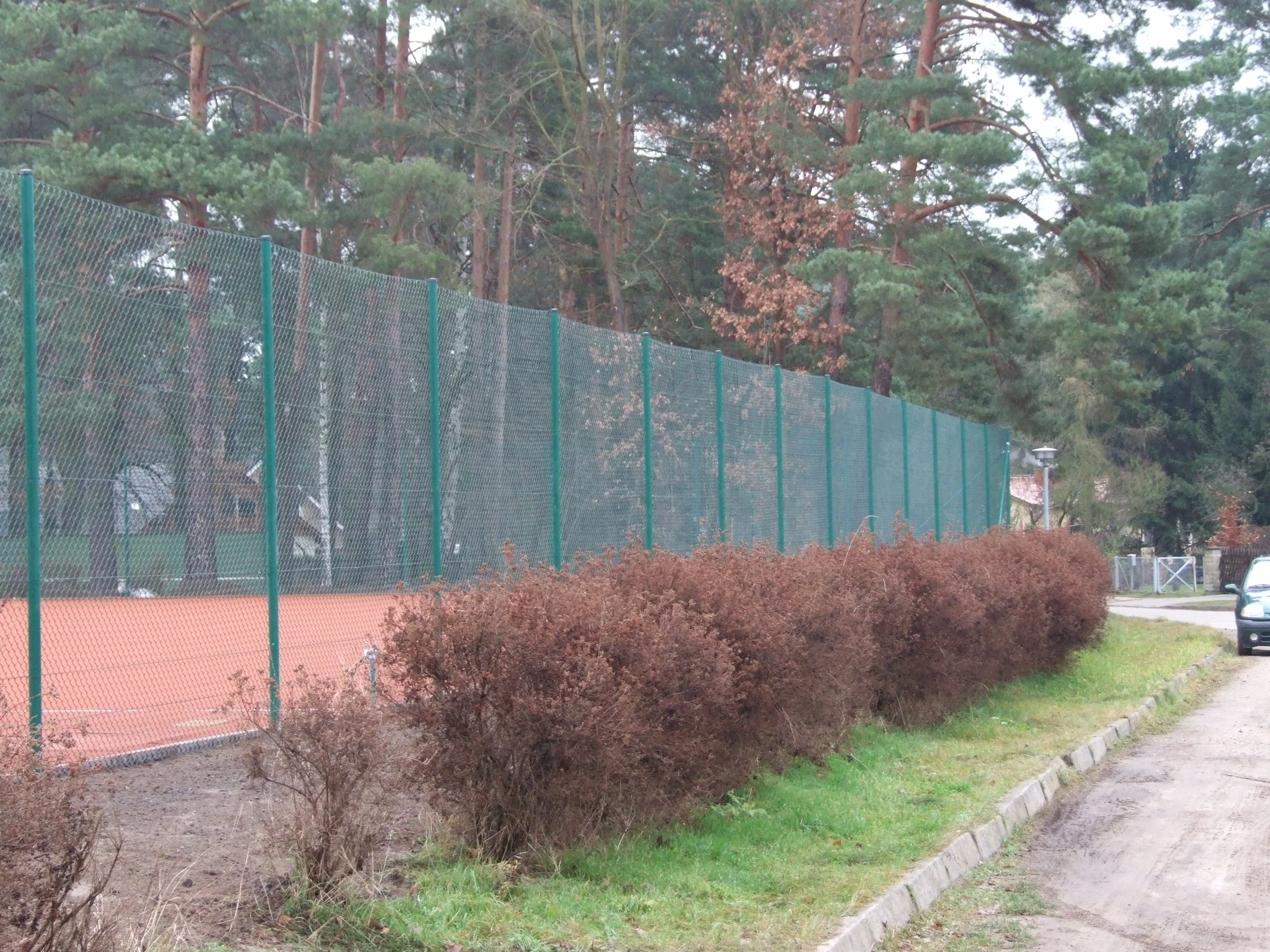 dscf4799e959.jpg