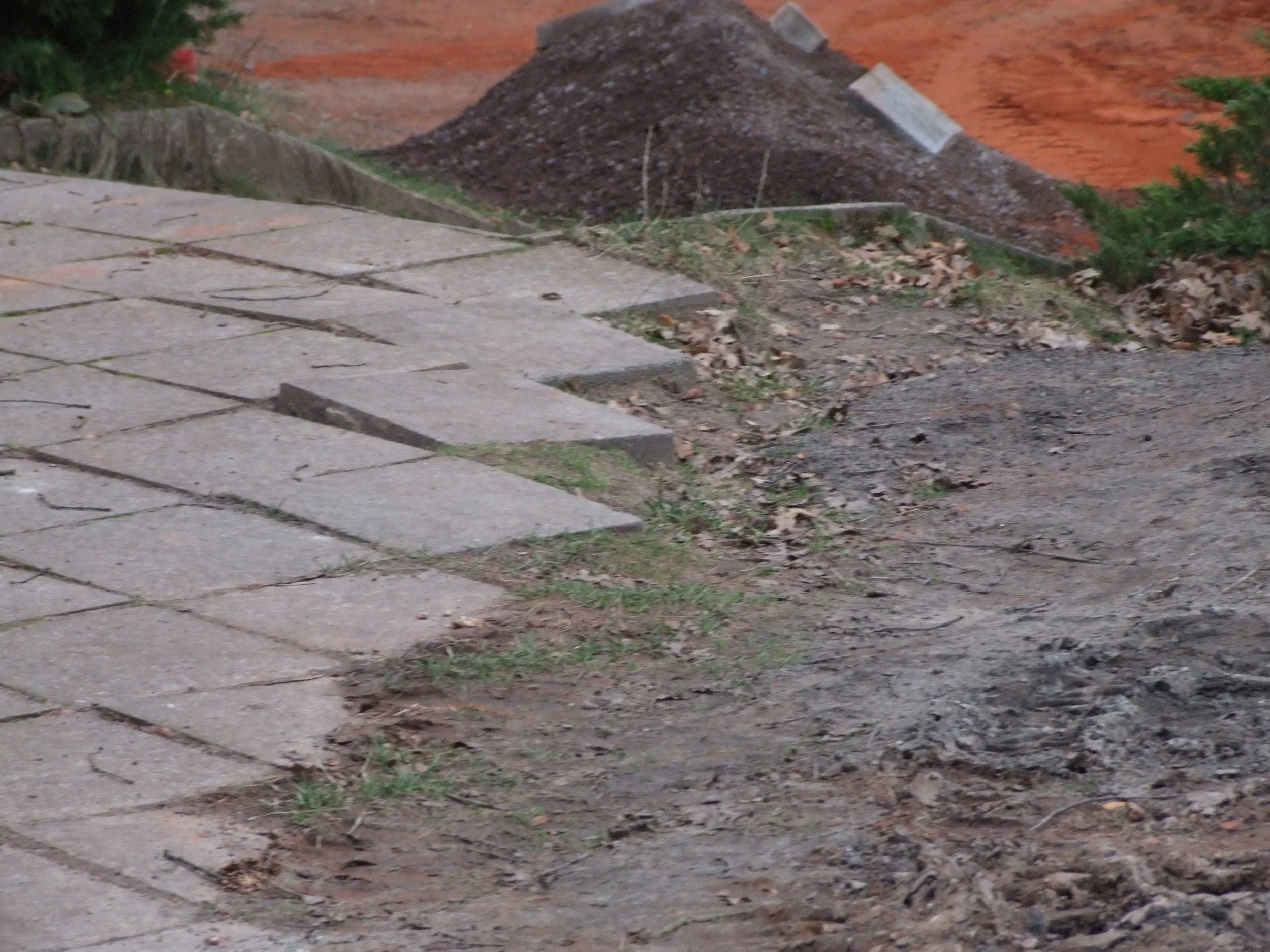 dscf4792.jpg