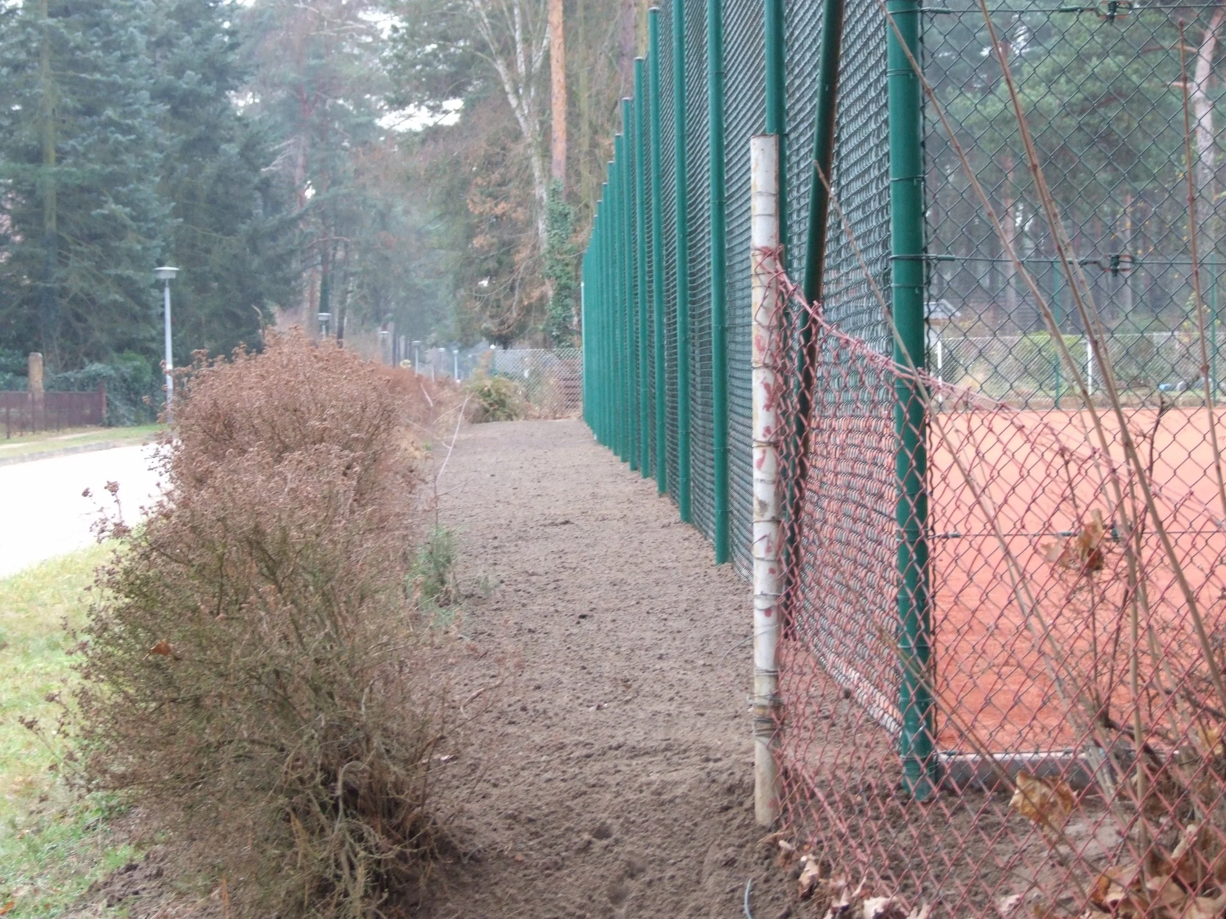 dscf4800e959.jpg