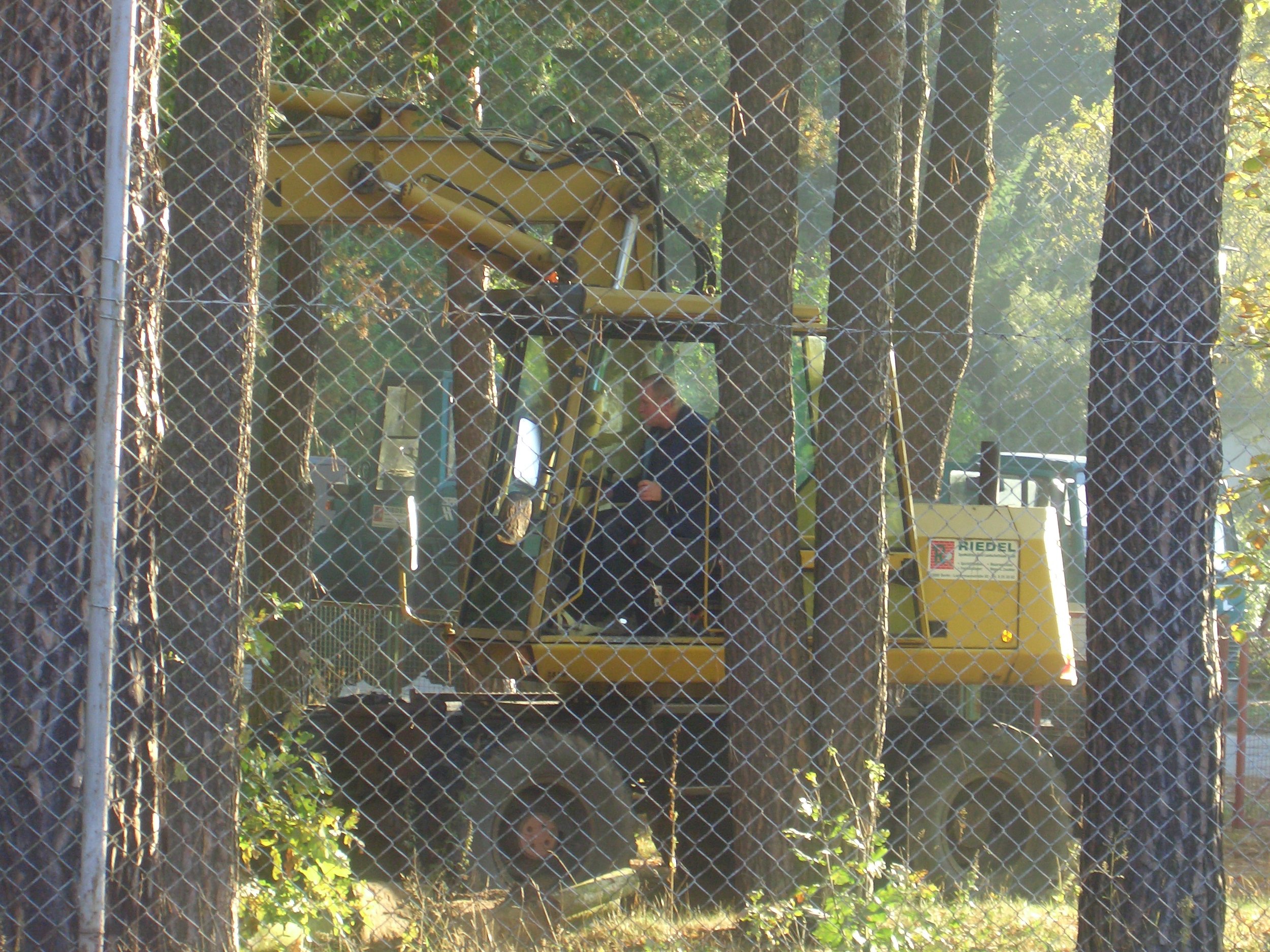 schweres gert.jpg