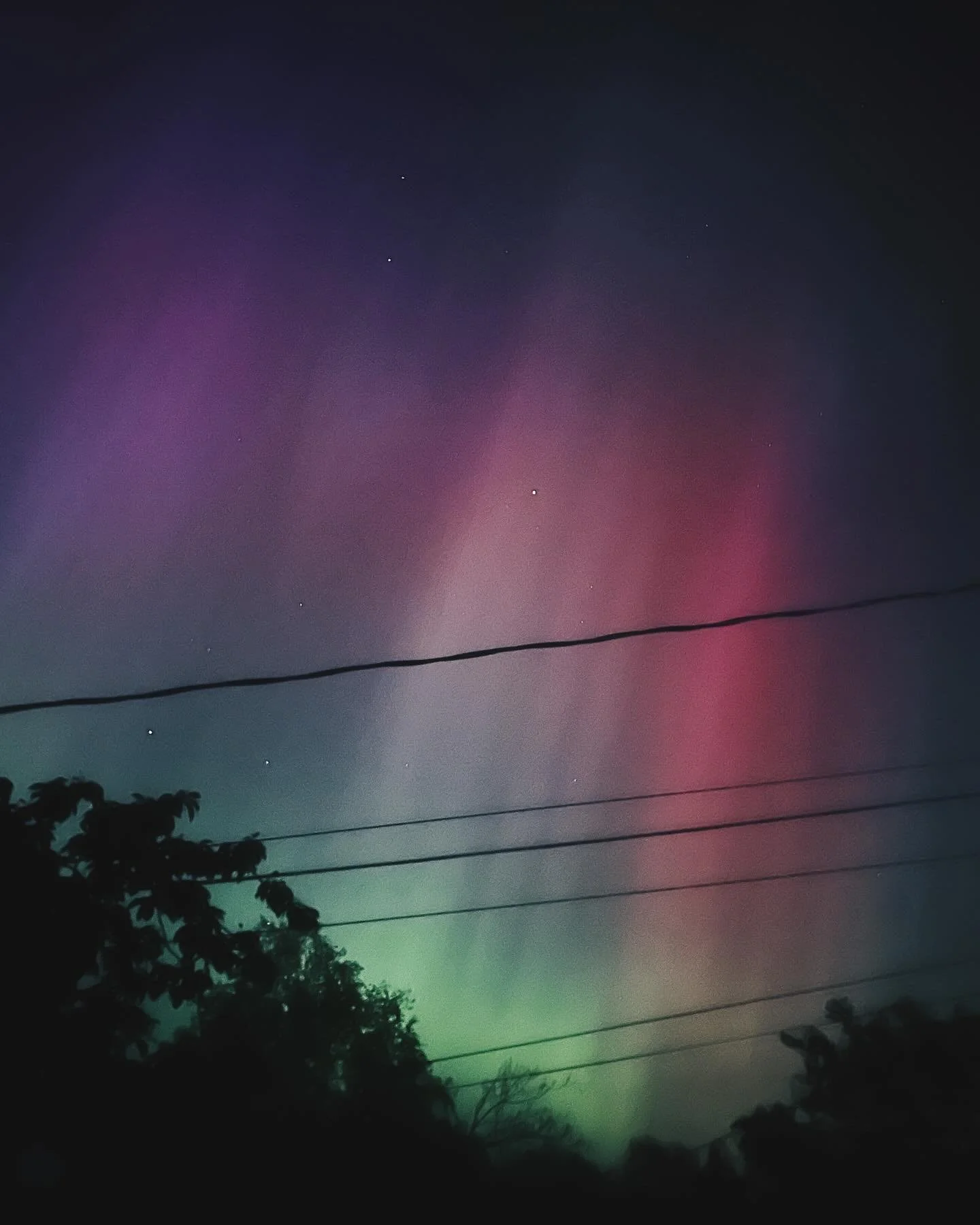 Reasons you should elope in Washington. You can see the #auroraborealis with your bare eyeballs when conditions are right. #northernlights #pnwwonderland