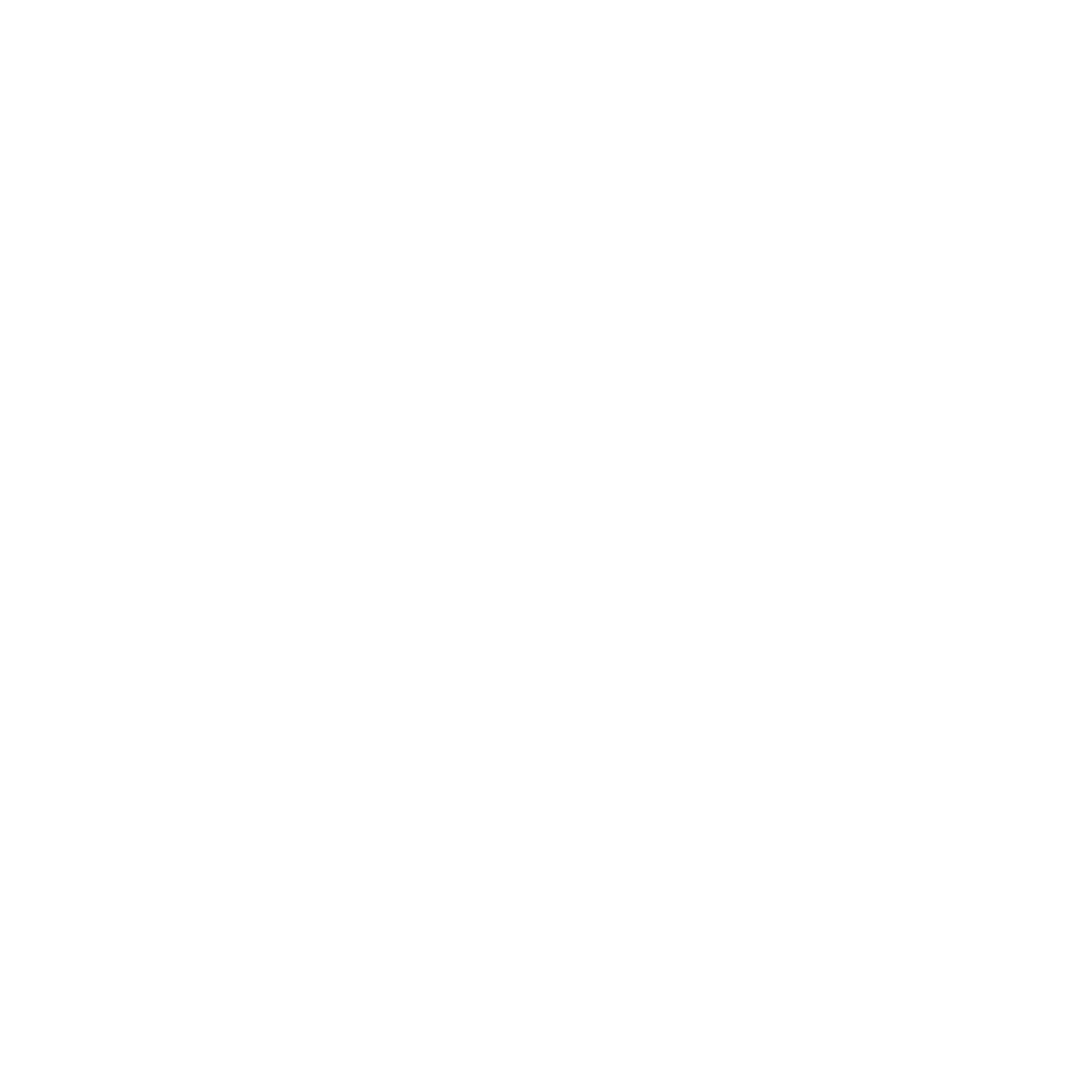 WashingtonsNationalParkFund logo in white