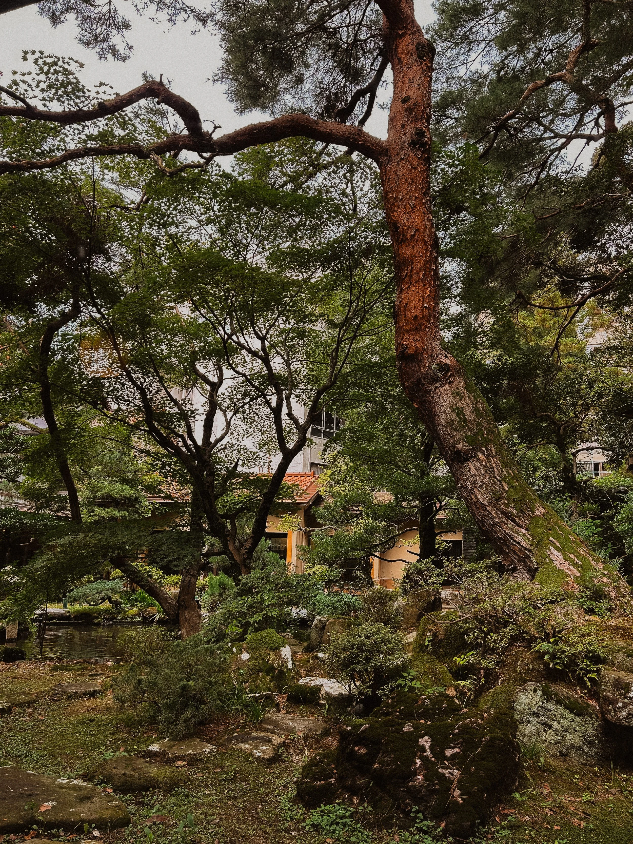 garden in Japanese onsen