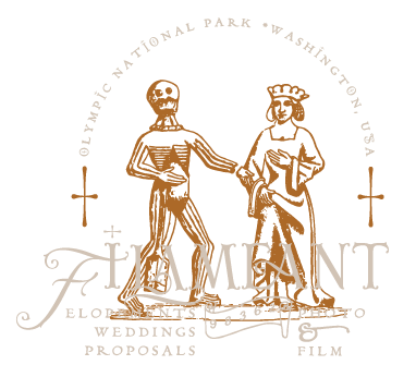 filameant photo logo