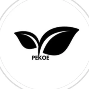 Screenshot 2024-03-15 191213.jpg