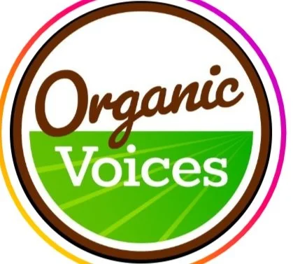 Screenshot 2024-12-02 232714.jpg