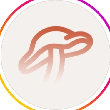 Screenshot 2024-12-02 233222.jpg