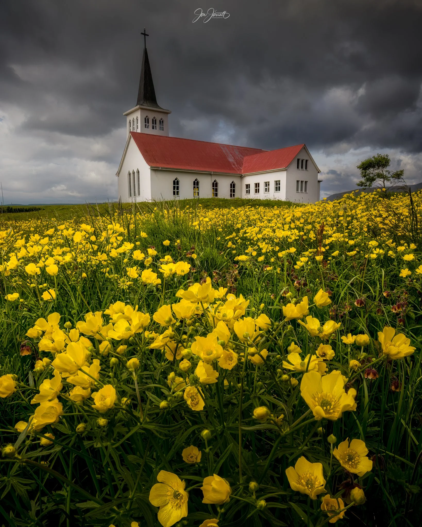 yellow flower church iceland-Edit-Edit.jpg