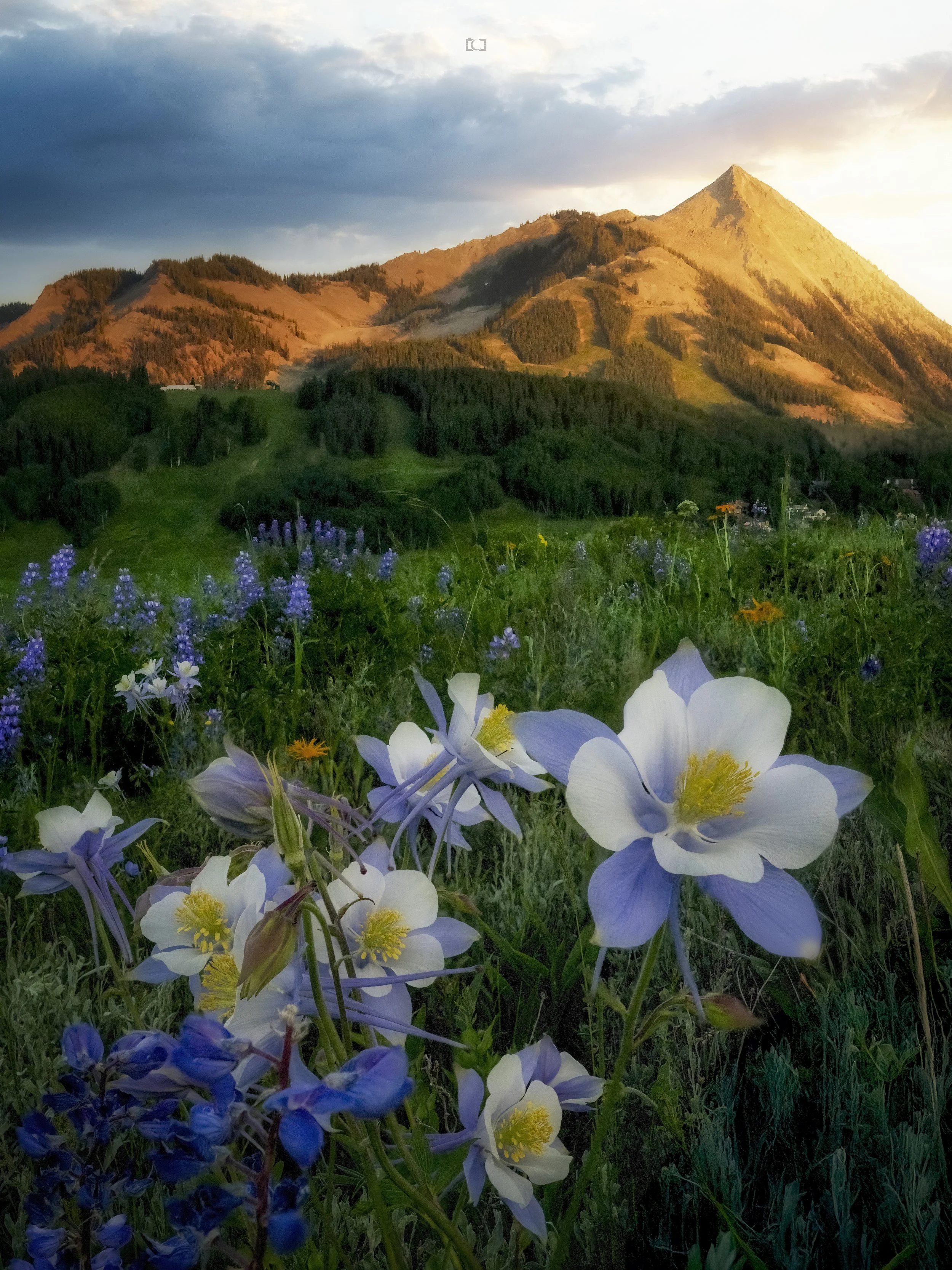 2025-07-10 11-55-51 (B,R8,S4) copy.jpg