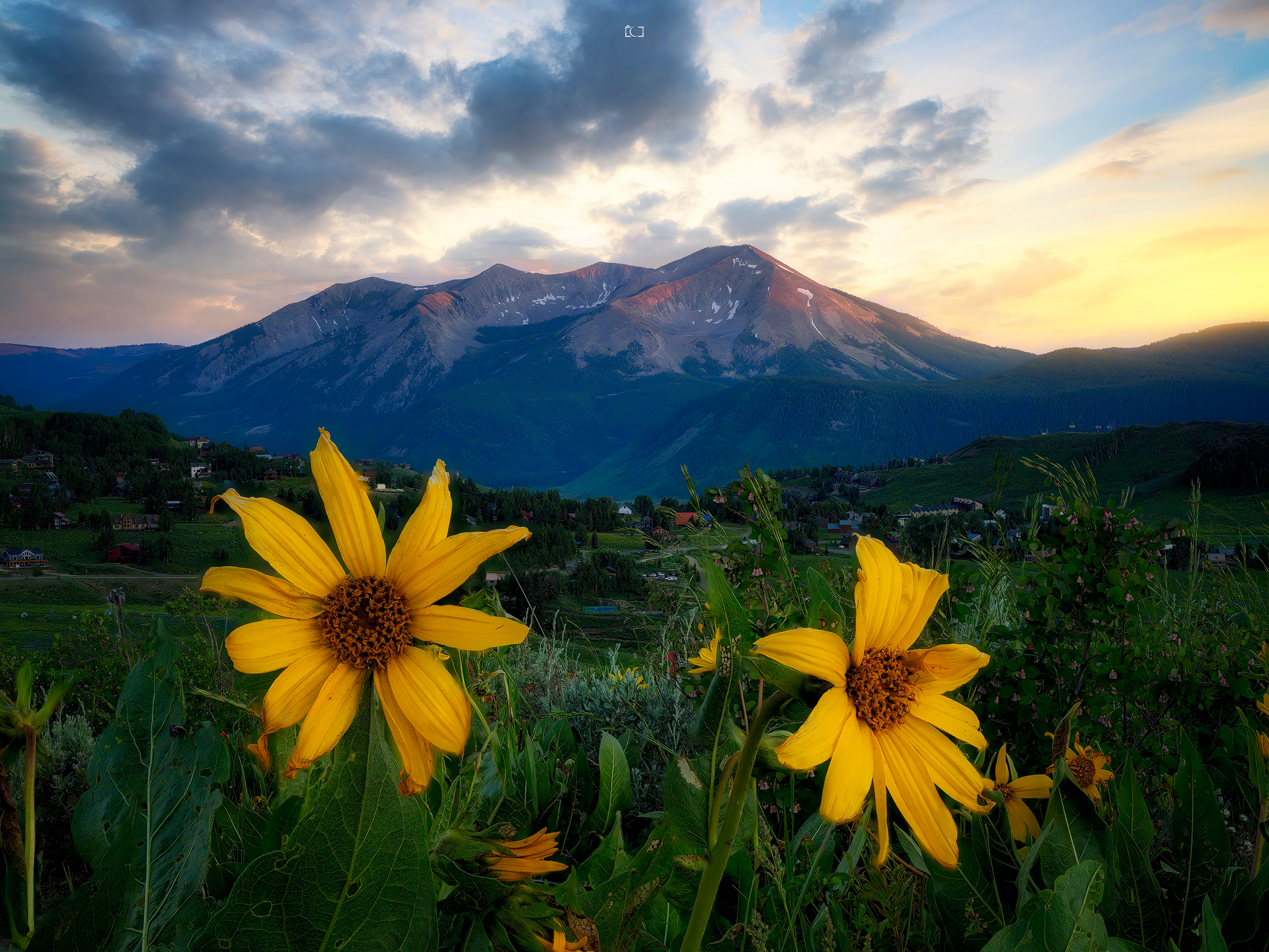 2025-07-04 20-50-10 (B,R8,S4) copy-gigapixel-standard-scale-1_00x copy.png