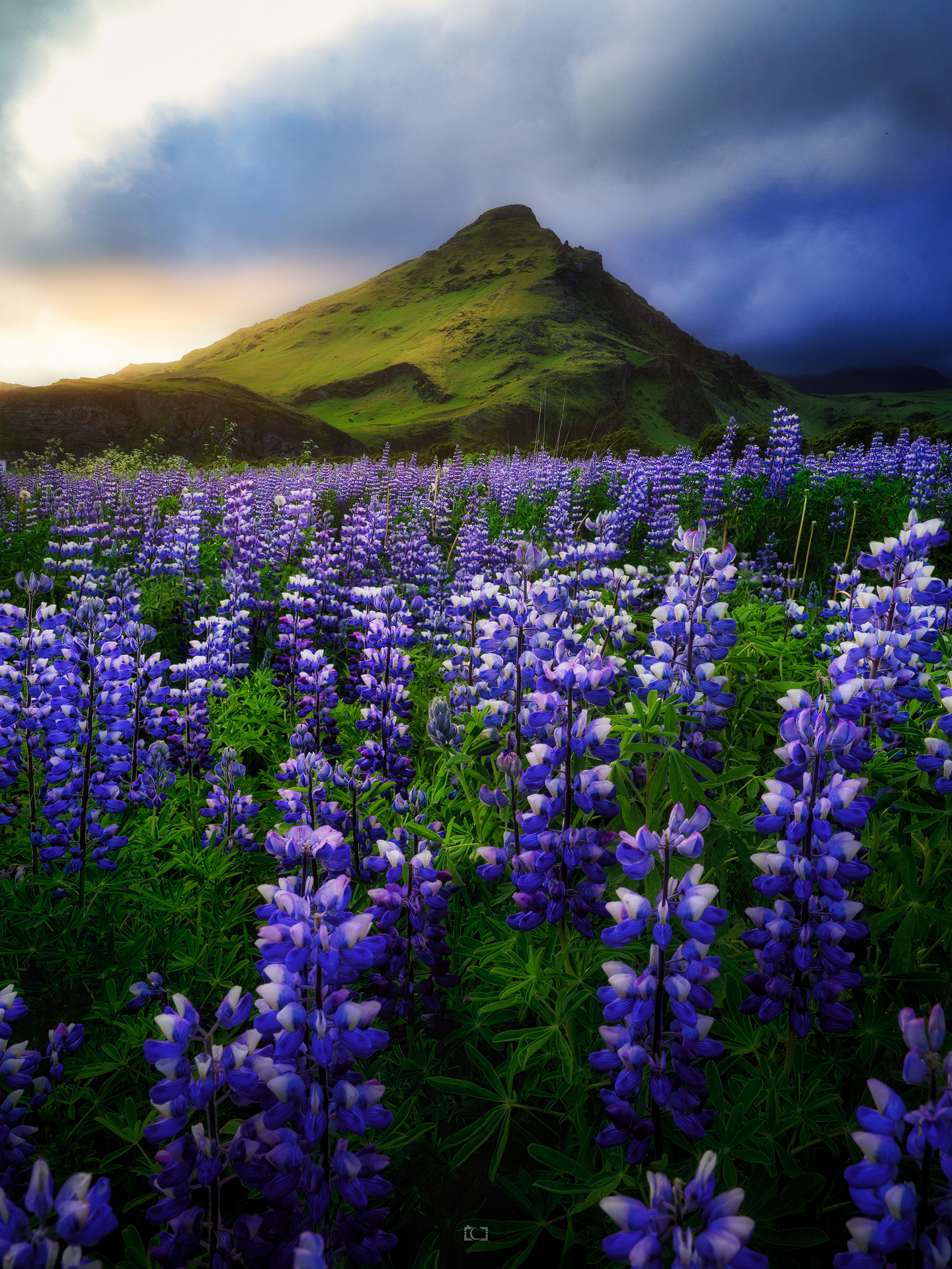2026-07-10 11-17-31 (B,R8,S4) copy.png
