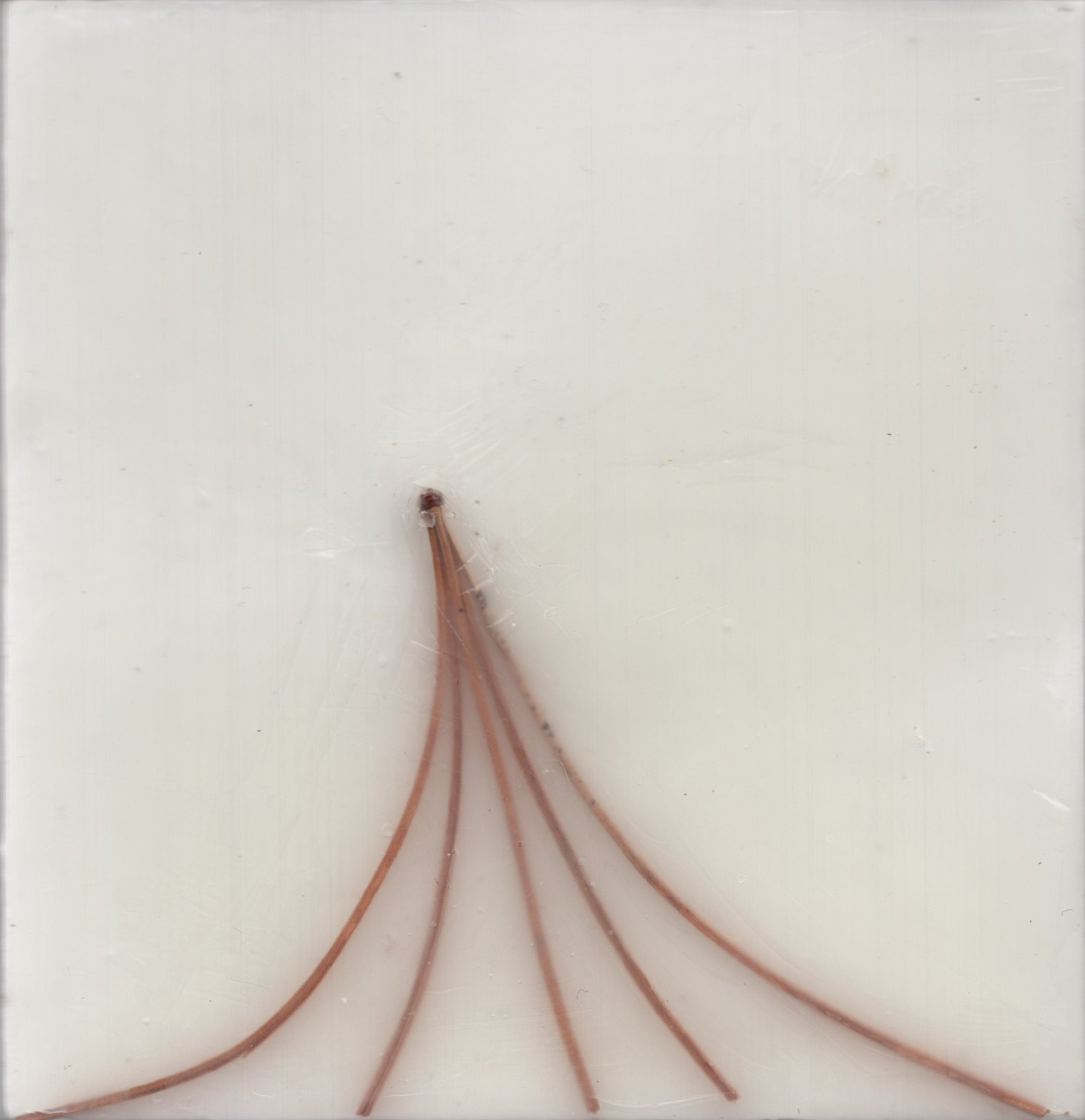Amy Wilder Files - Needles Series
