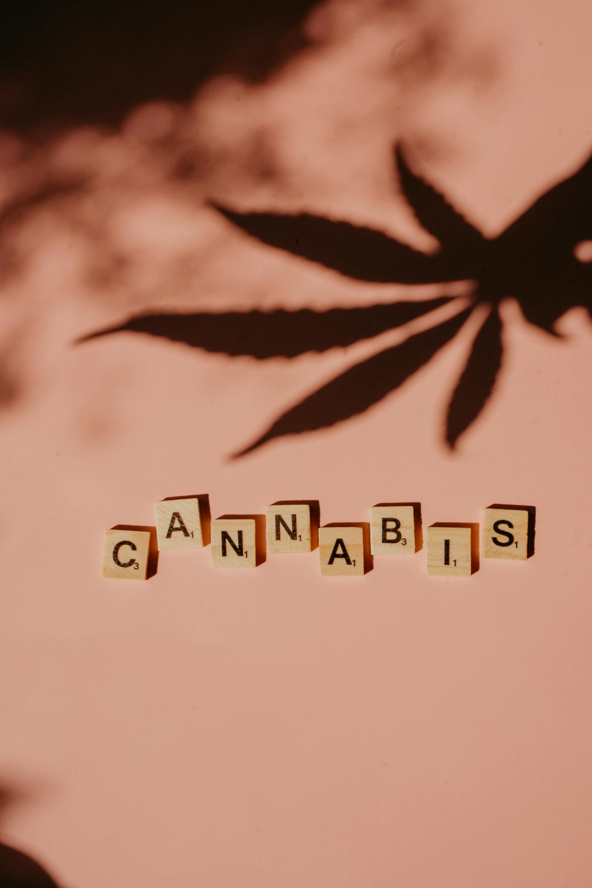Wooden Scrabble tiles spell out 'CANNABIS' on a pink background with a shadow of a cannabis leaf above.