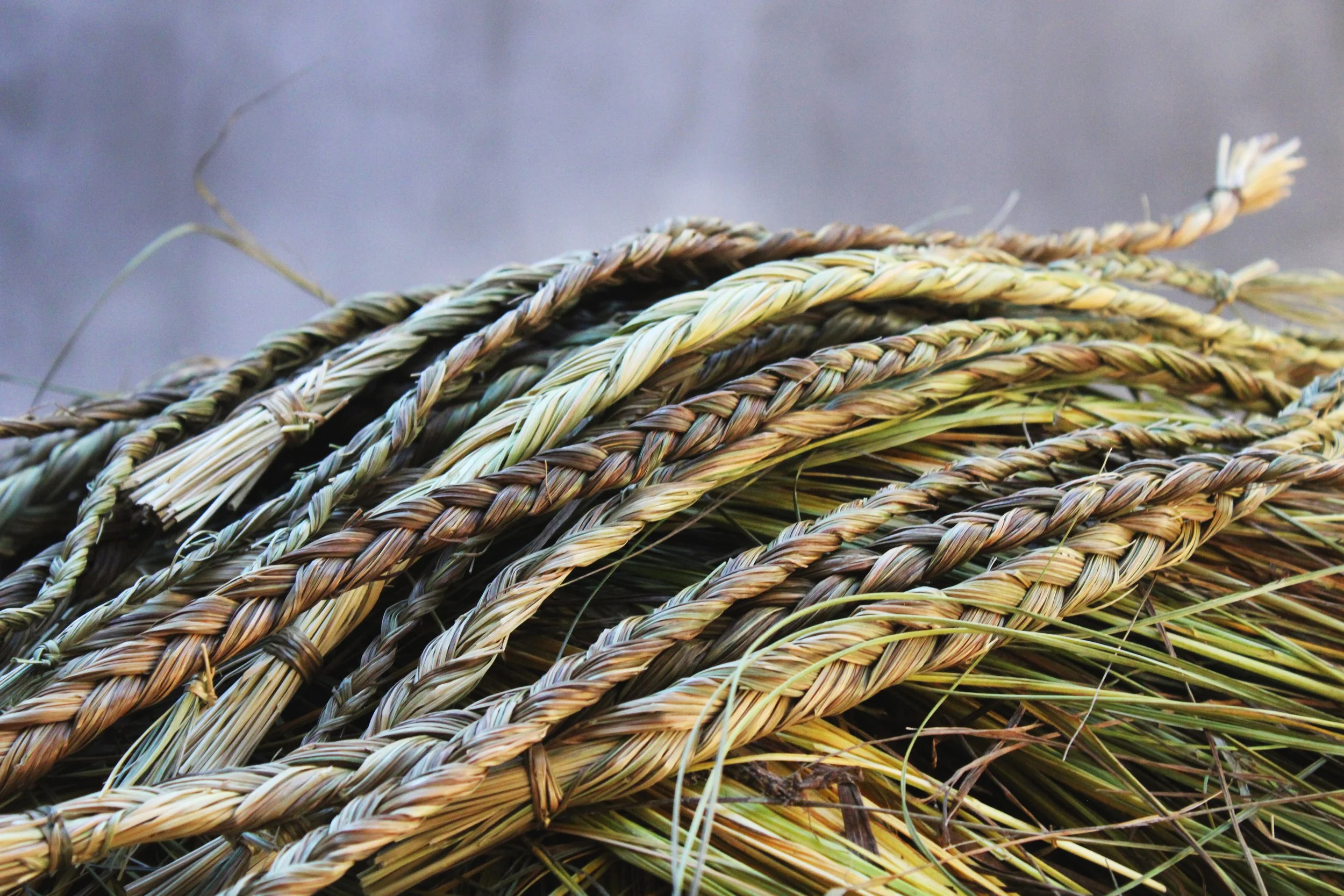 sweetgrass4.jpg