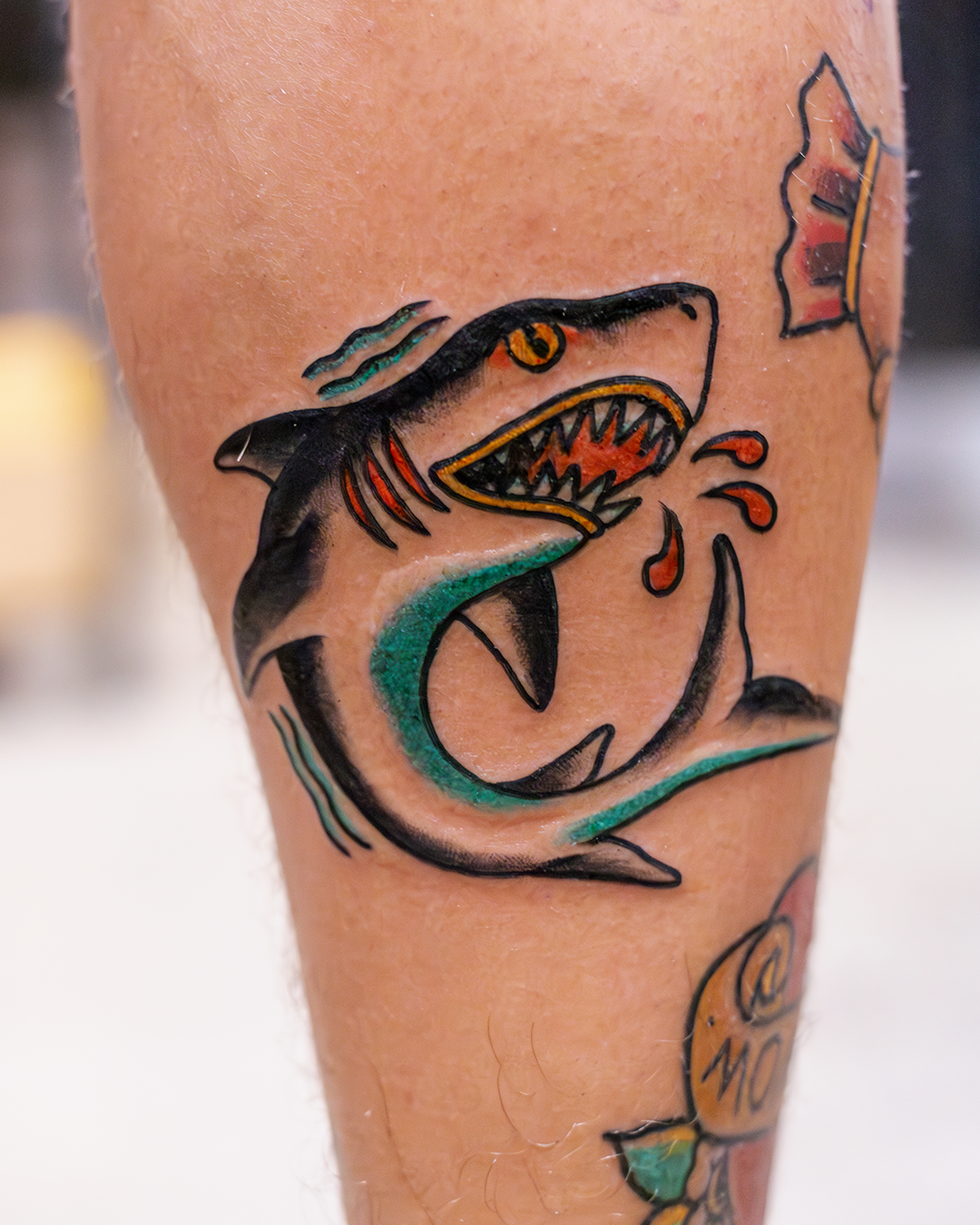 Colorful tattoo of a fierce shark with an open mouth showing sharp teeth, on a person's arm.