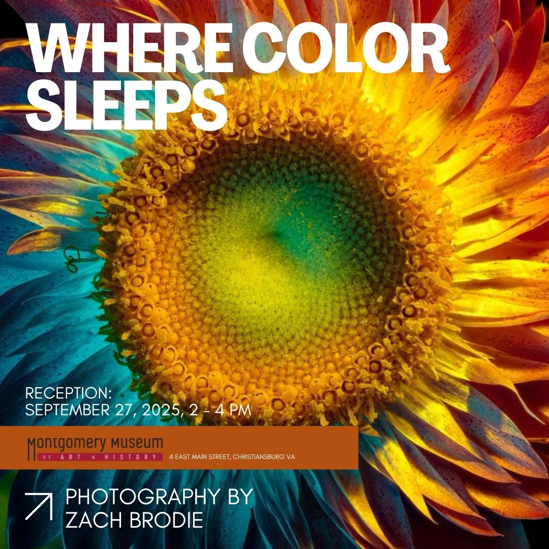 Where Color Sleeps - Zach Brodie Art Reception