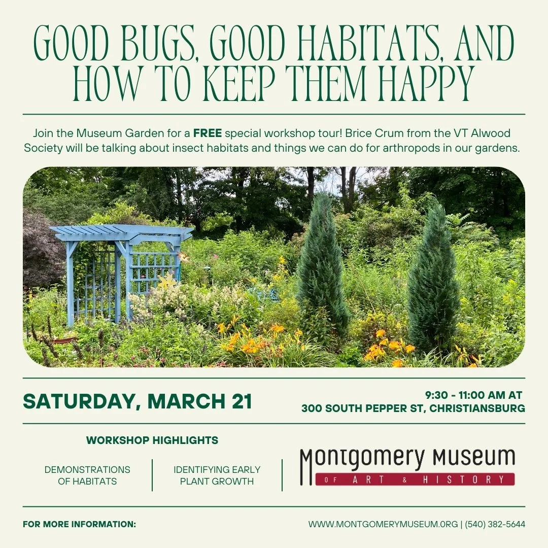 Good Bugs, Good Habitats, and How to Keep Them Happy: Garden Workshop