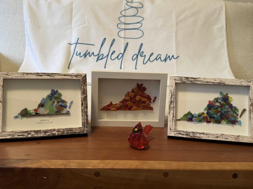 Tumbled Dreams - Anna Thomas