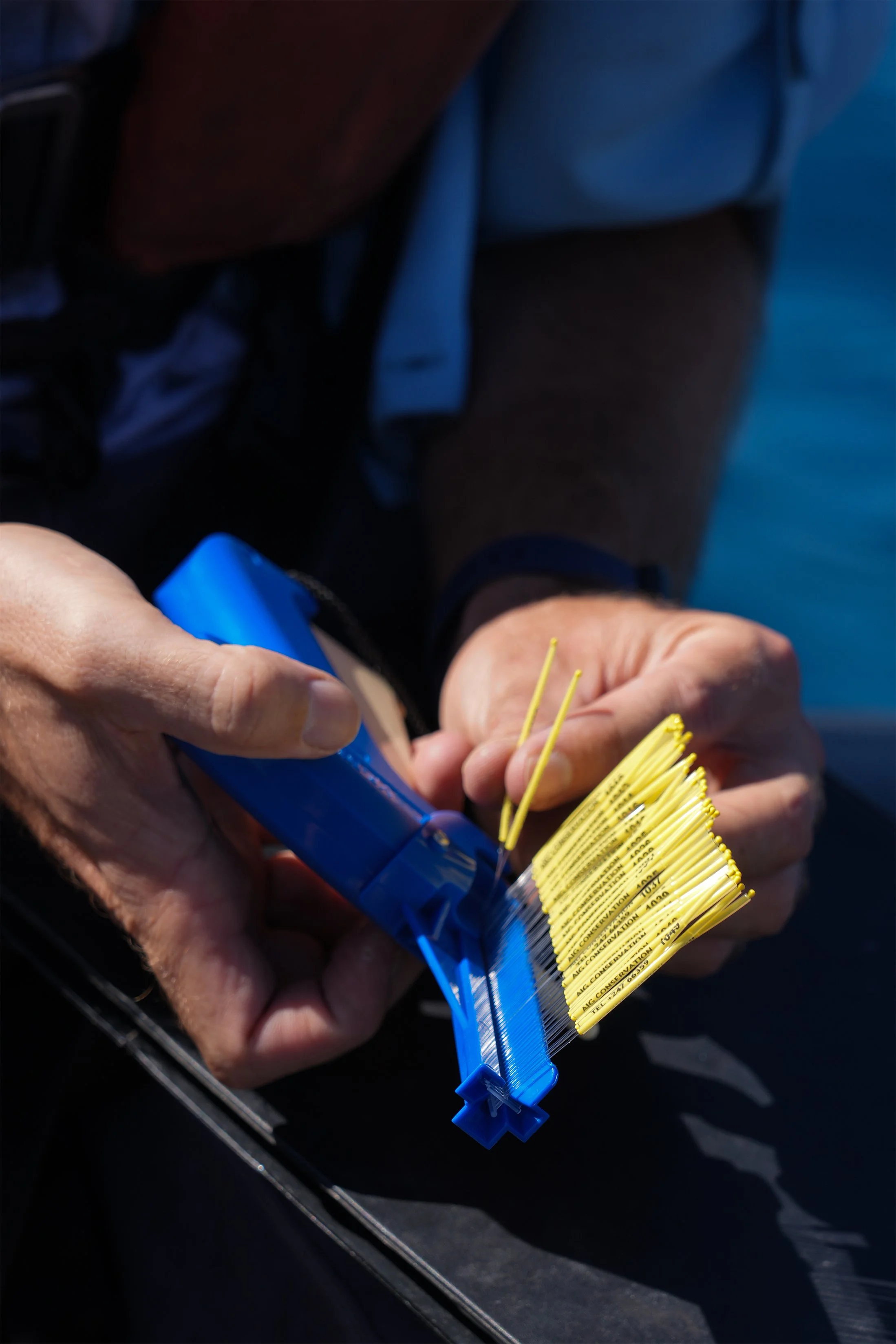 4 Tags in gun close up.jpg