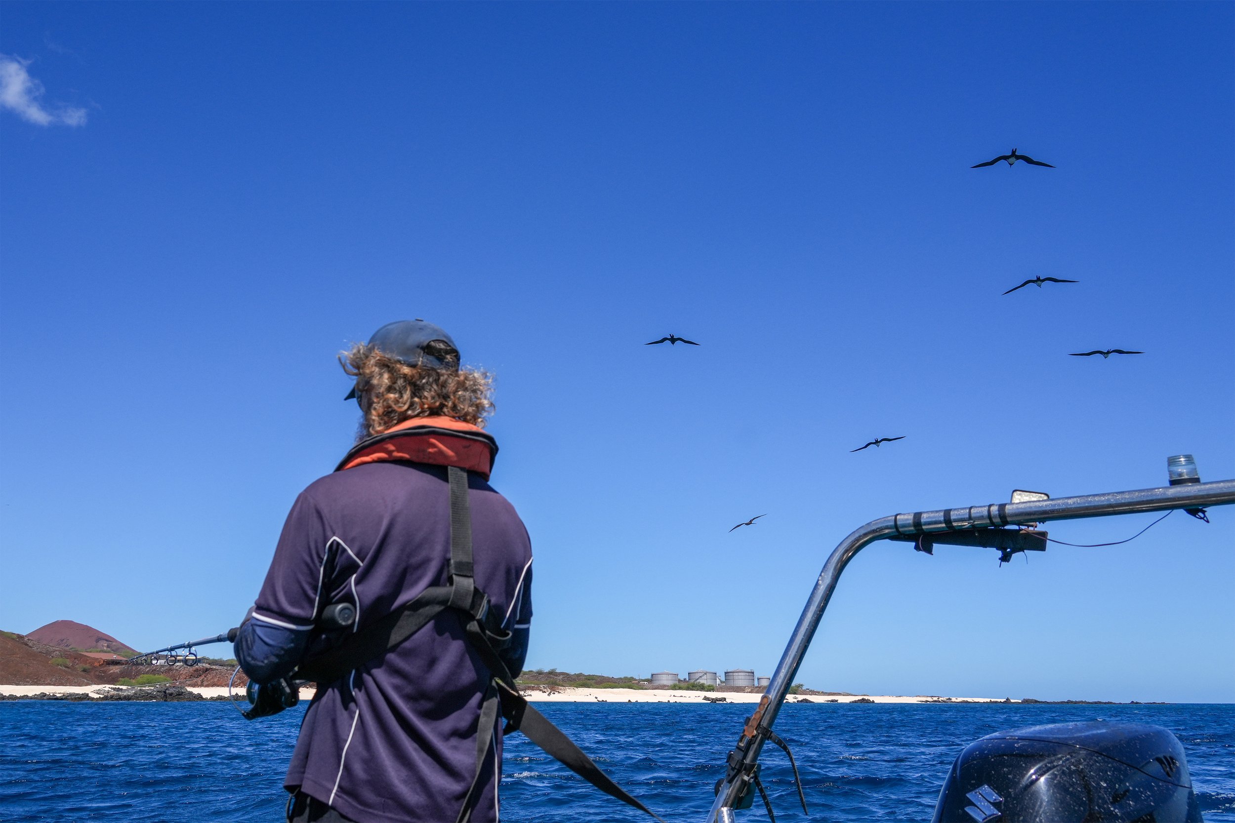 5 Dan fishing with Frigate birds.jpg