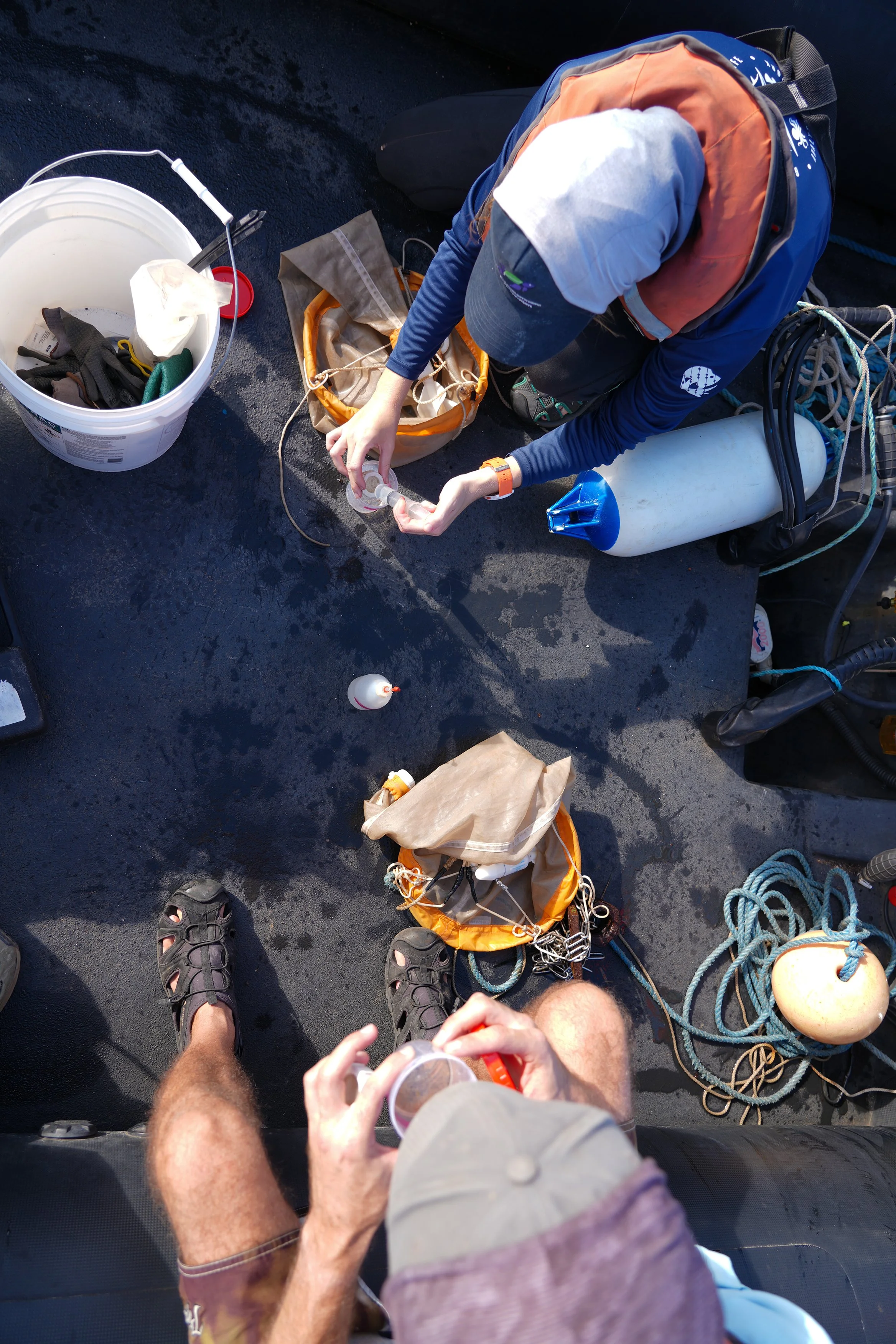 5 Putting samples in tubs from above Mid shot.jpg