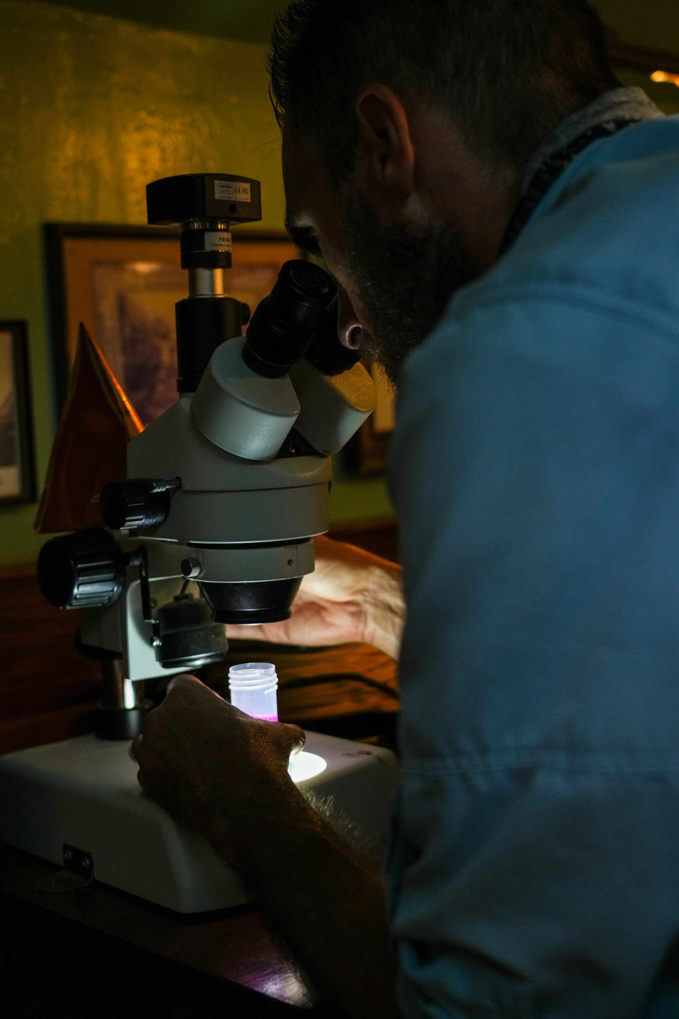 9 Cuen looking in microscope.jpg