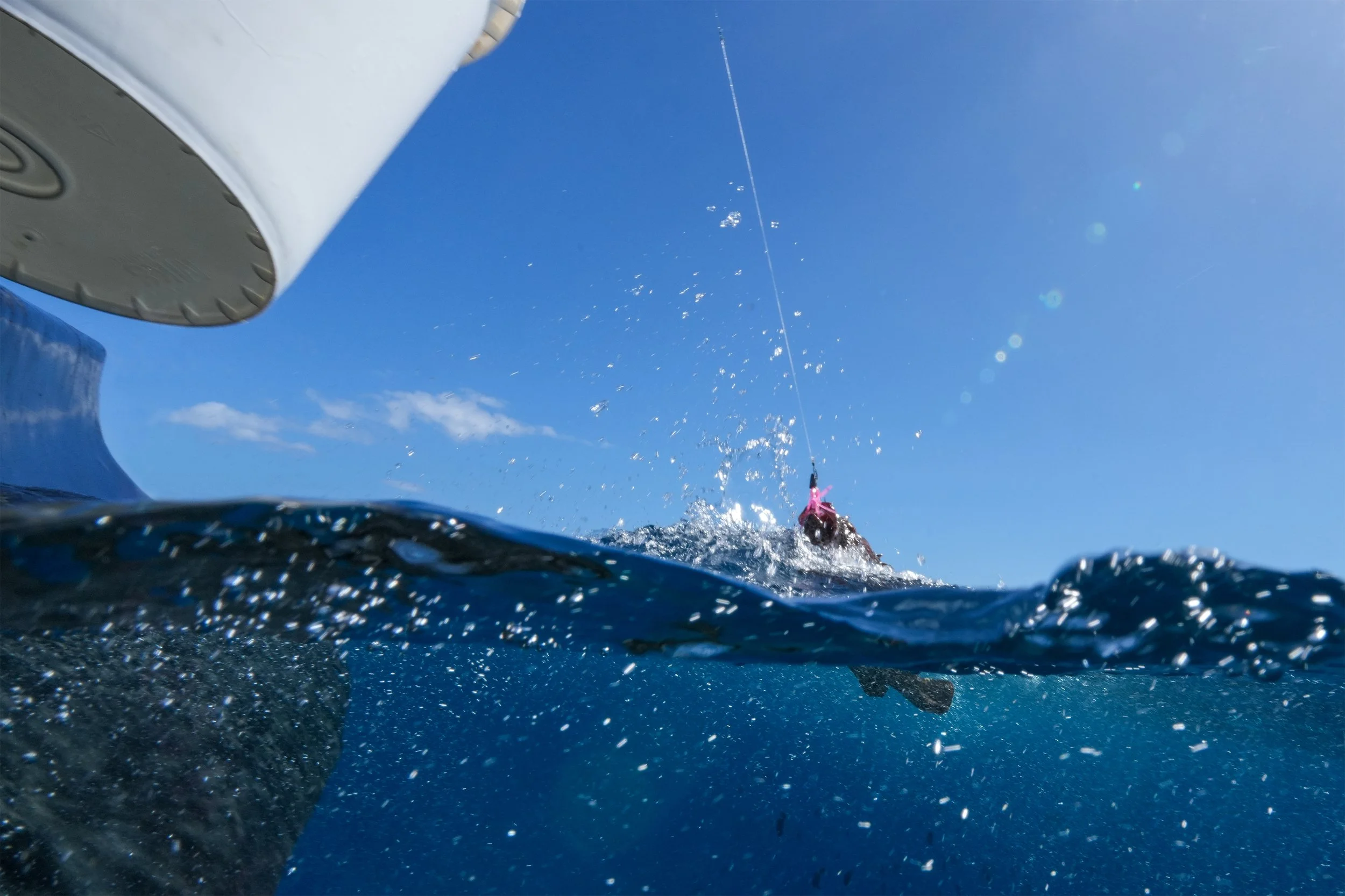 1 Grouper Split shot coming out on line.jpg