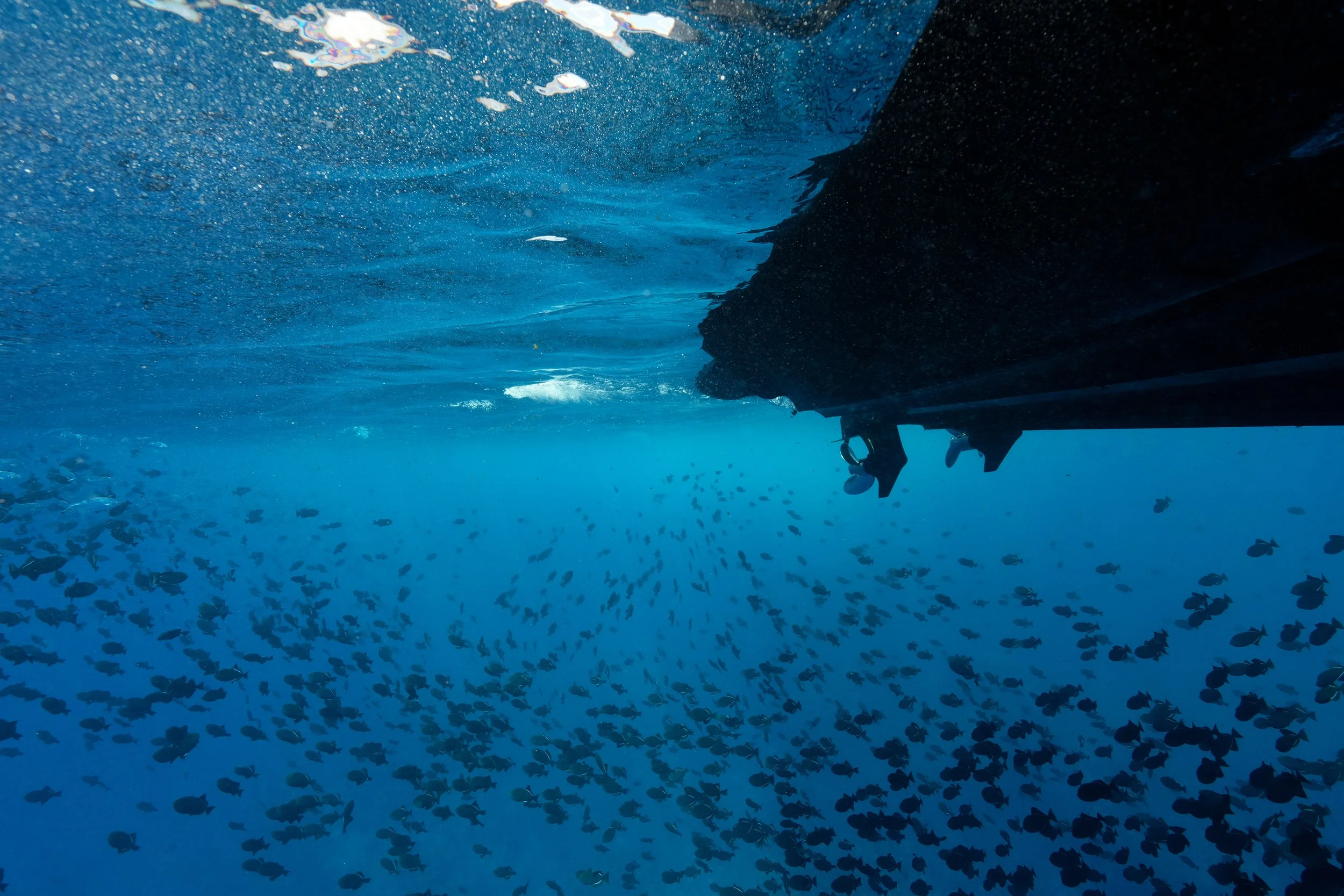 6 Underside of boat with lots of triggers.jpg