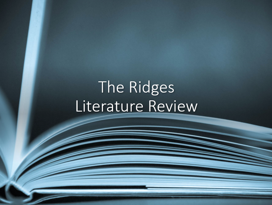 Literature Review