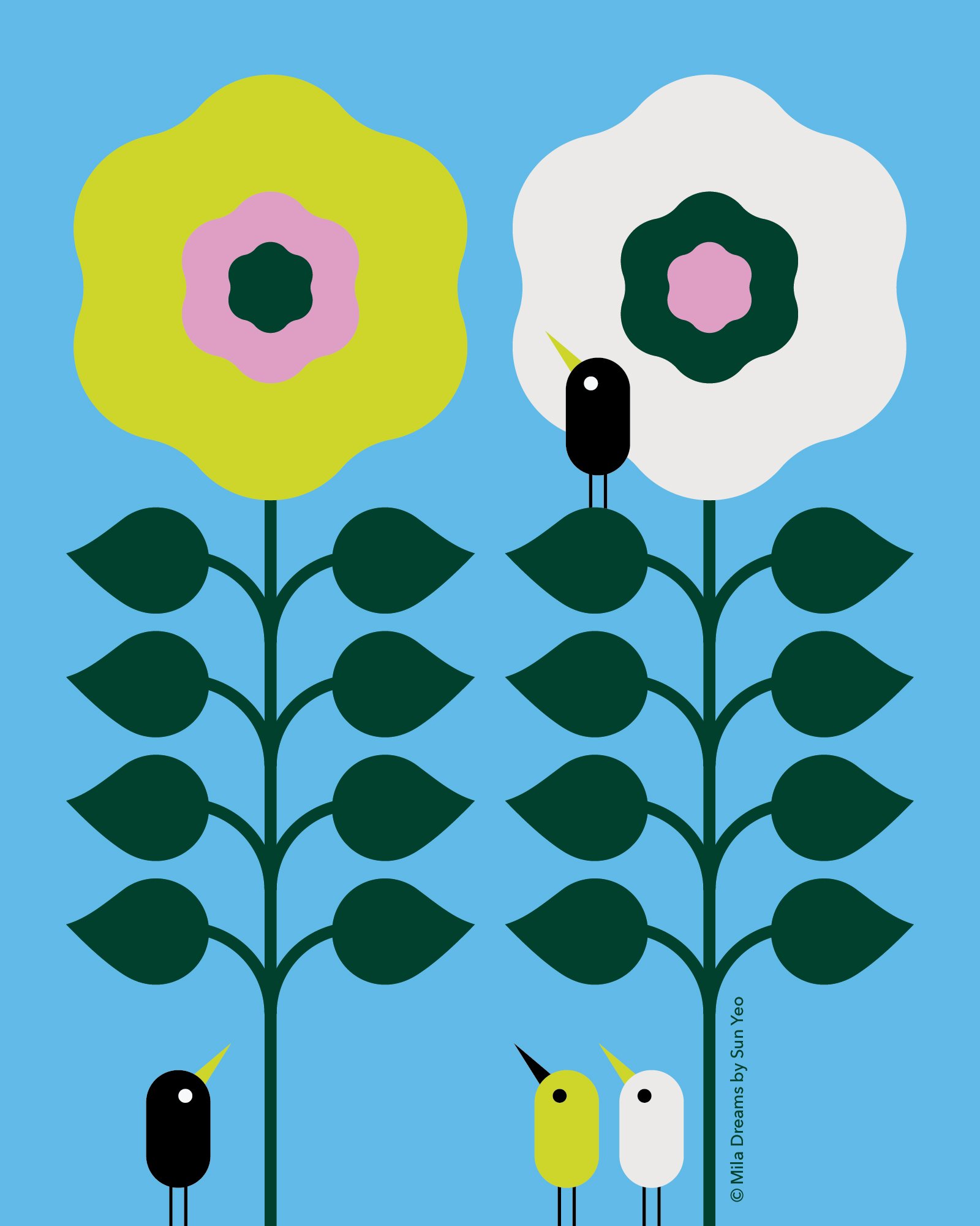 MD-NA094 - Conversations with the Birds