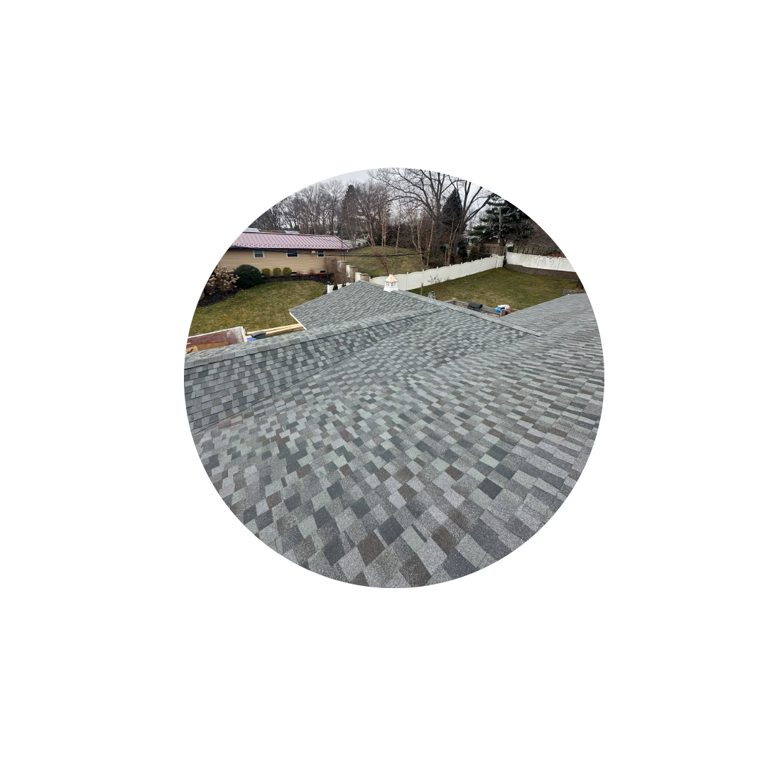 Remove background project-2 (5).png