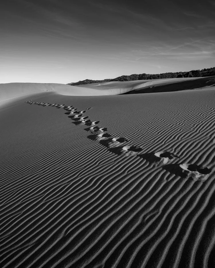 Mark Scheffer