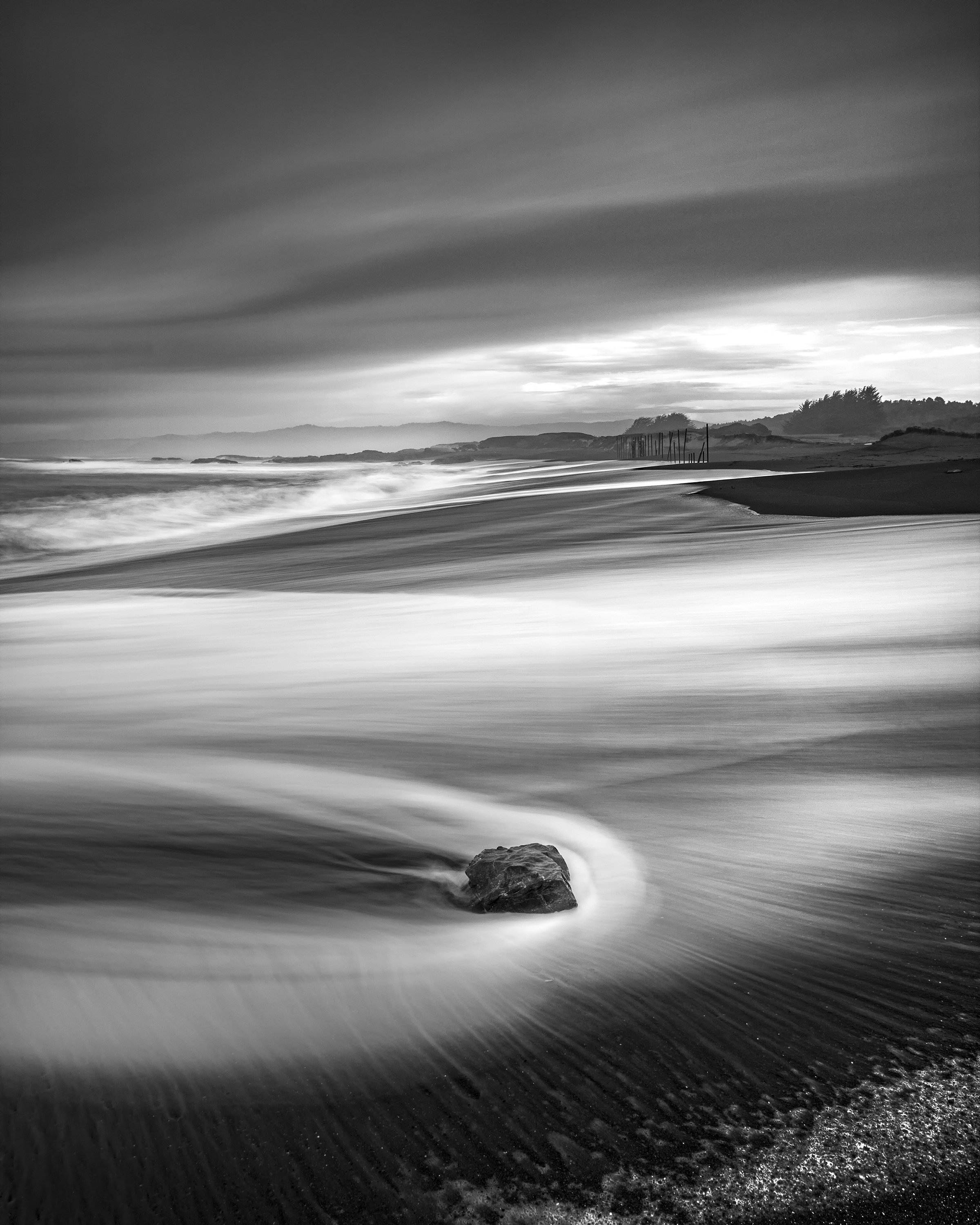 3T6W8530 copy copy 2.jpg