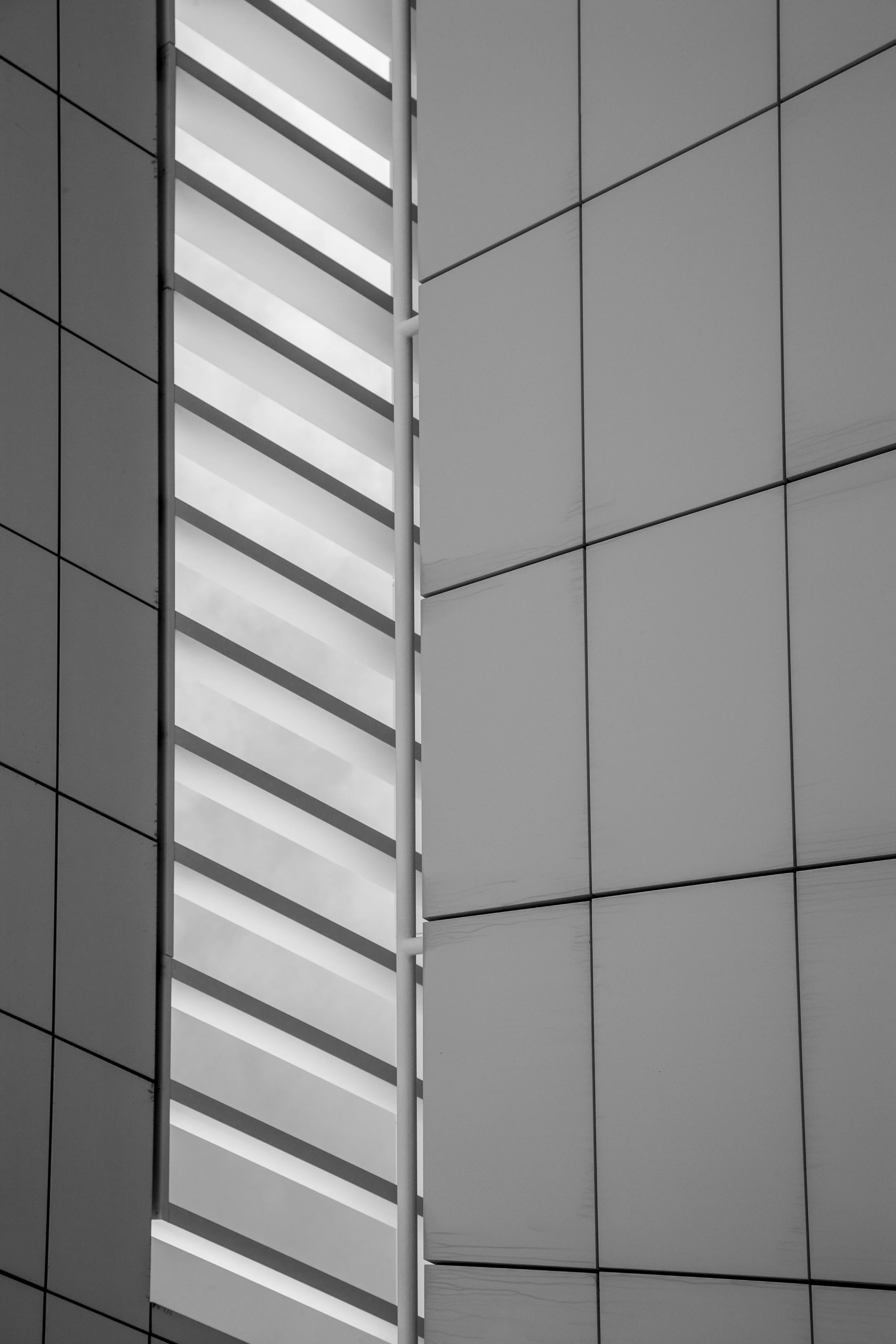 20110305-YD3H7912.jpg