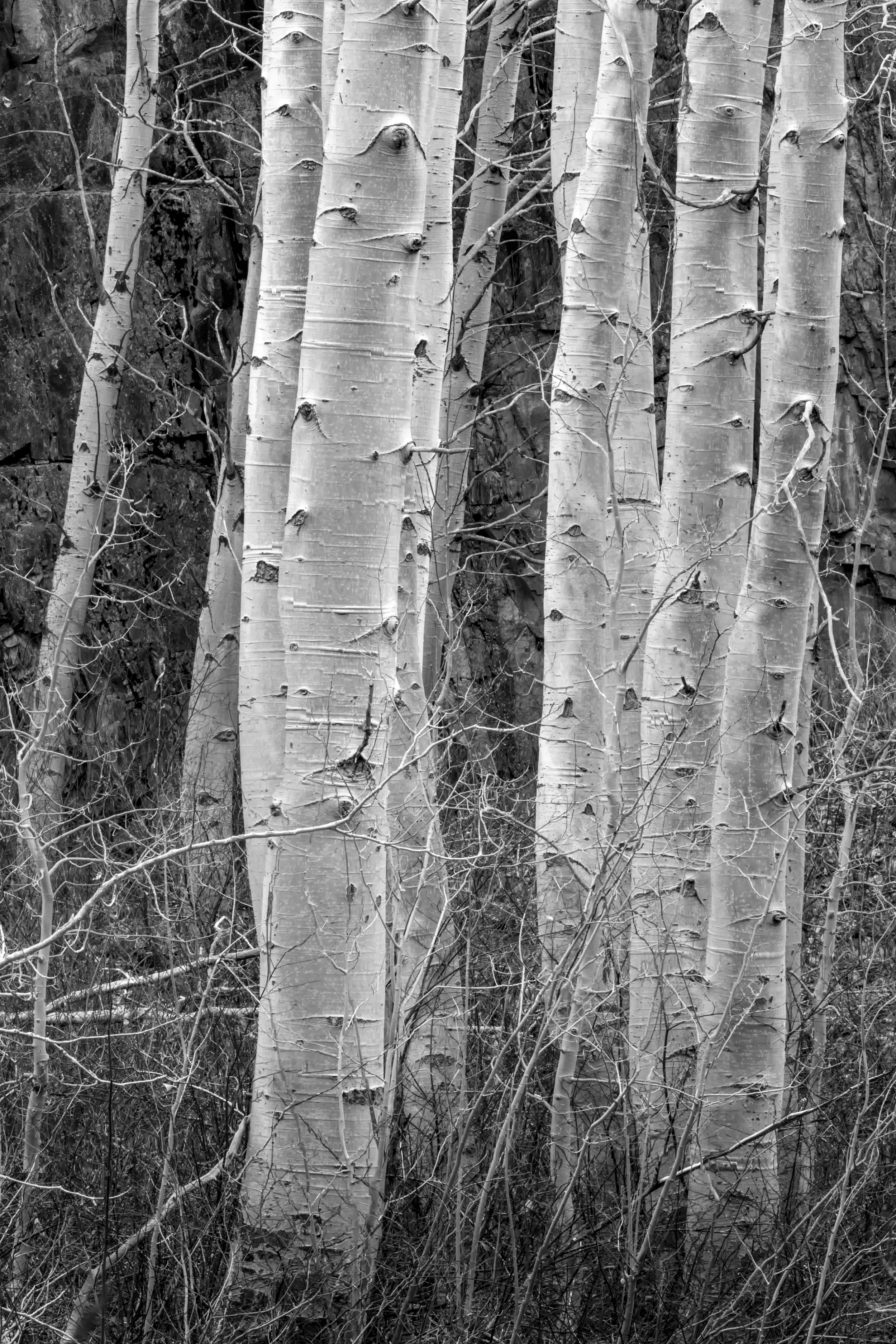 YD3H6432-Recovered copy.jpg