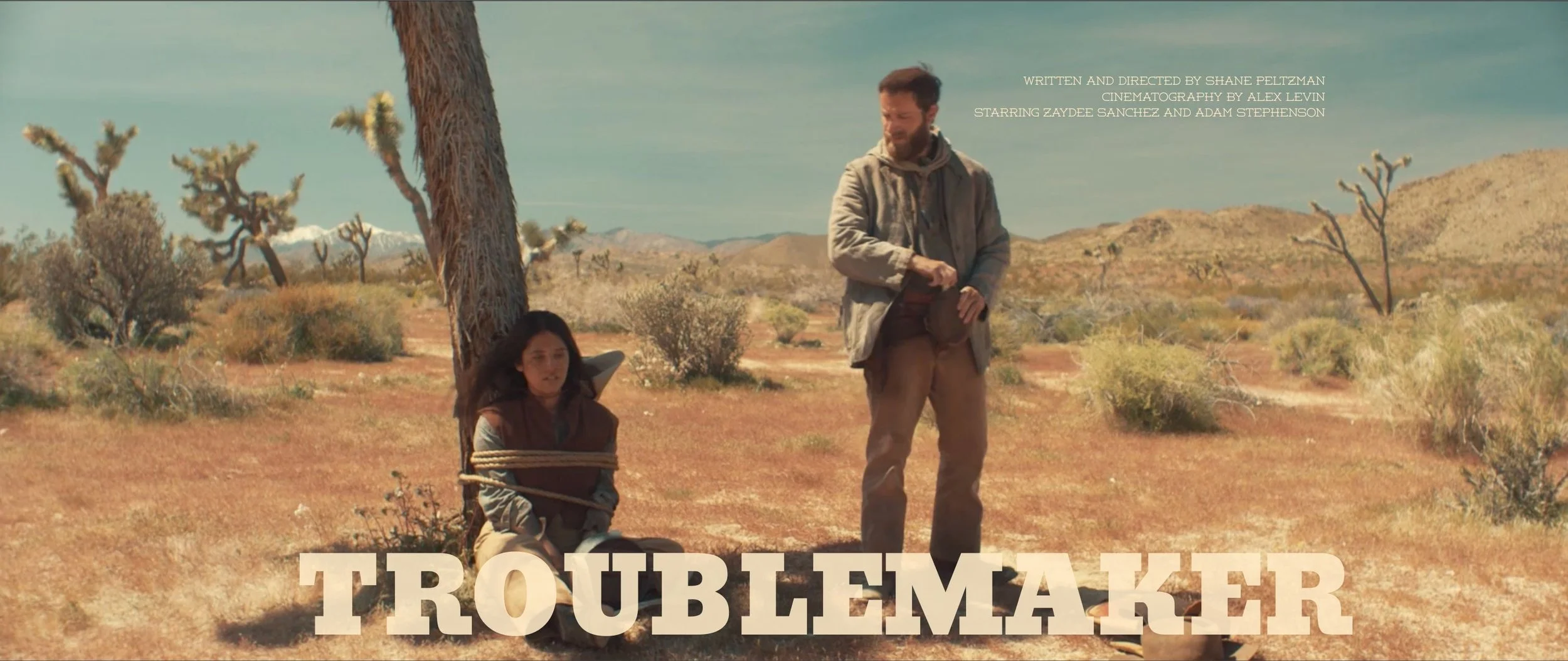 Troublemaker Movie Poster.jpg