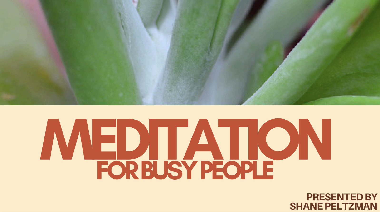 Meditation