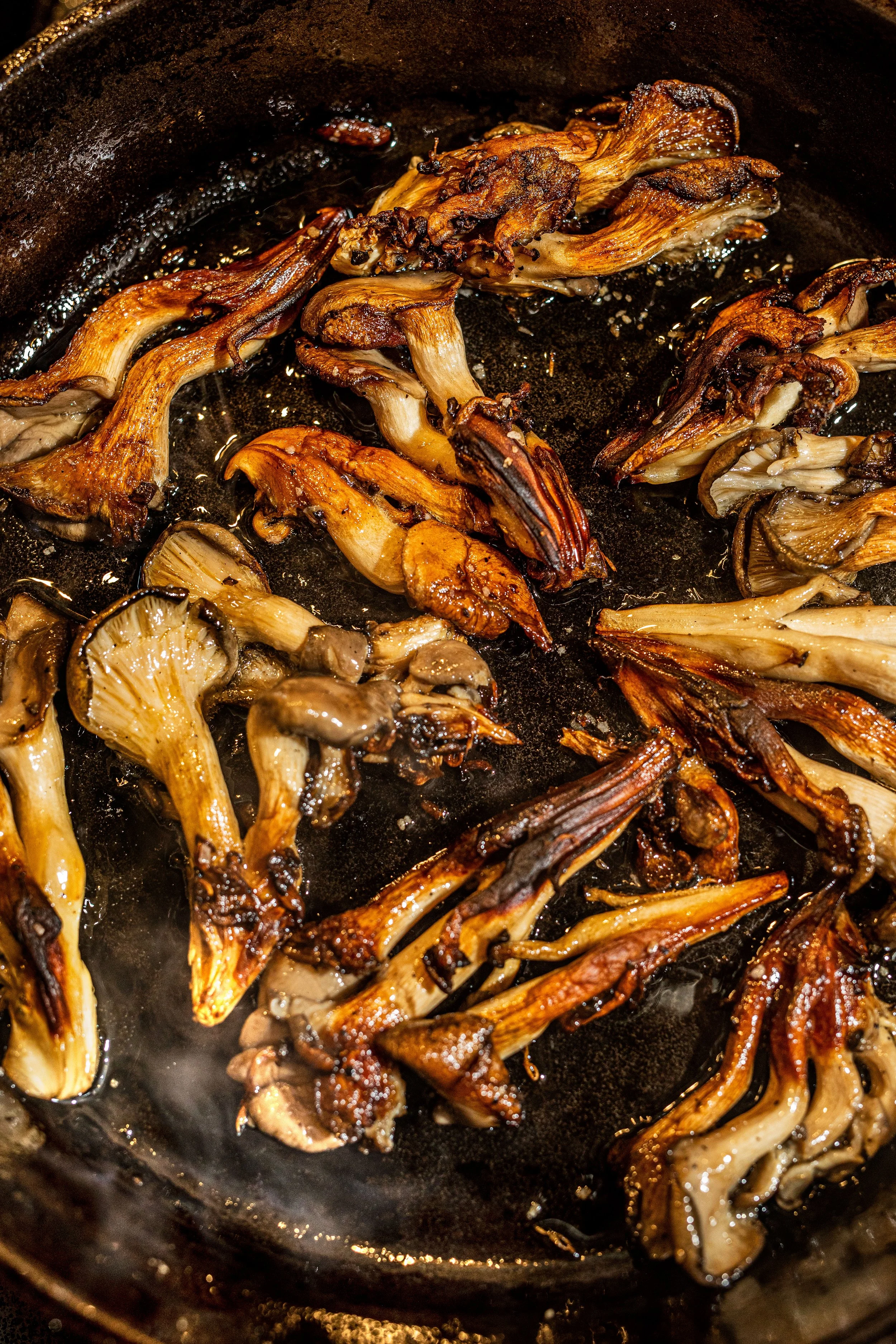crugnale-mushrooms.jpg