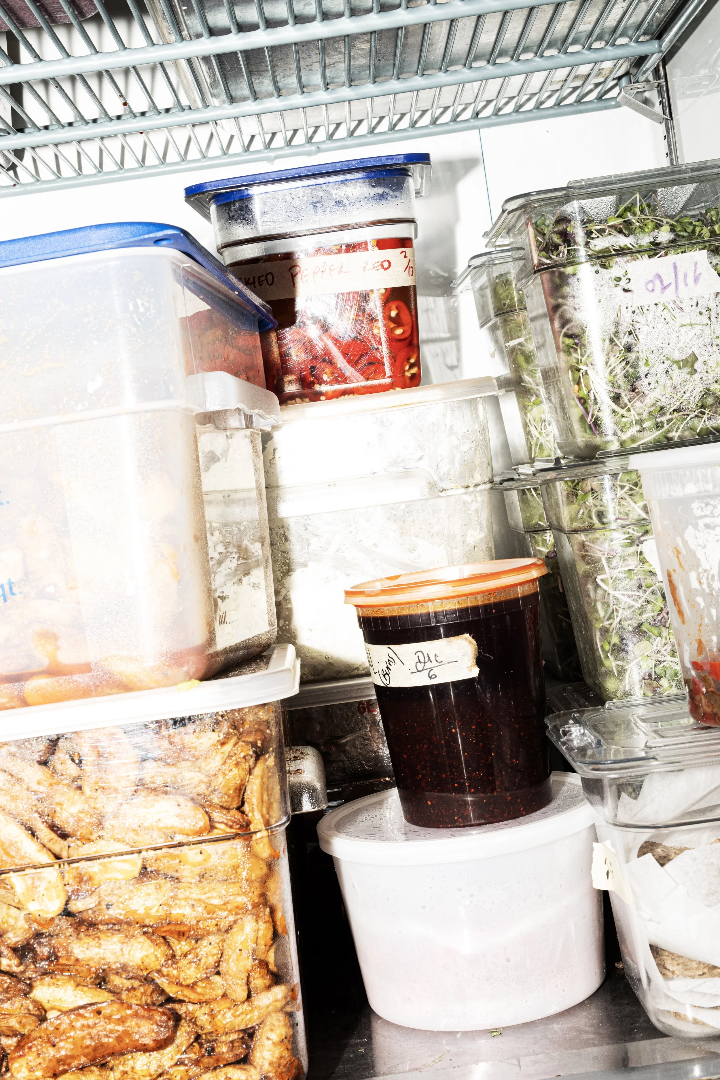 crugnale-fridge-2.jpg