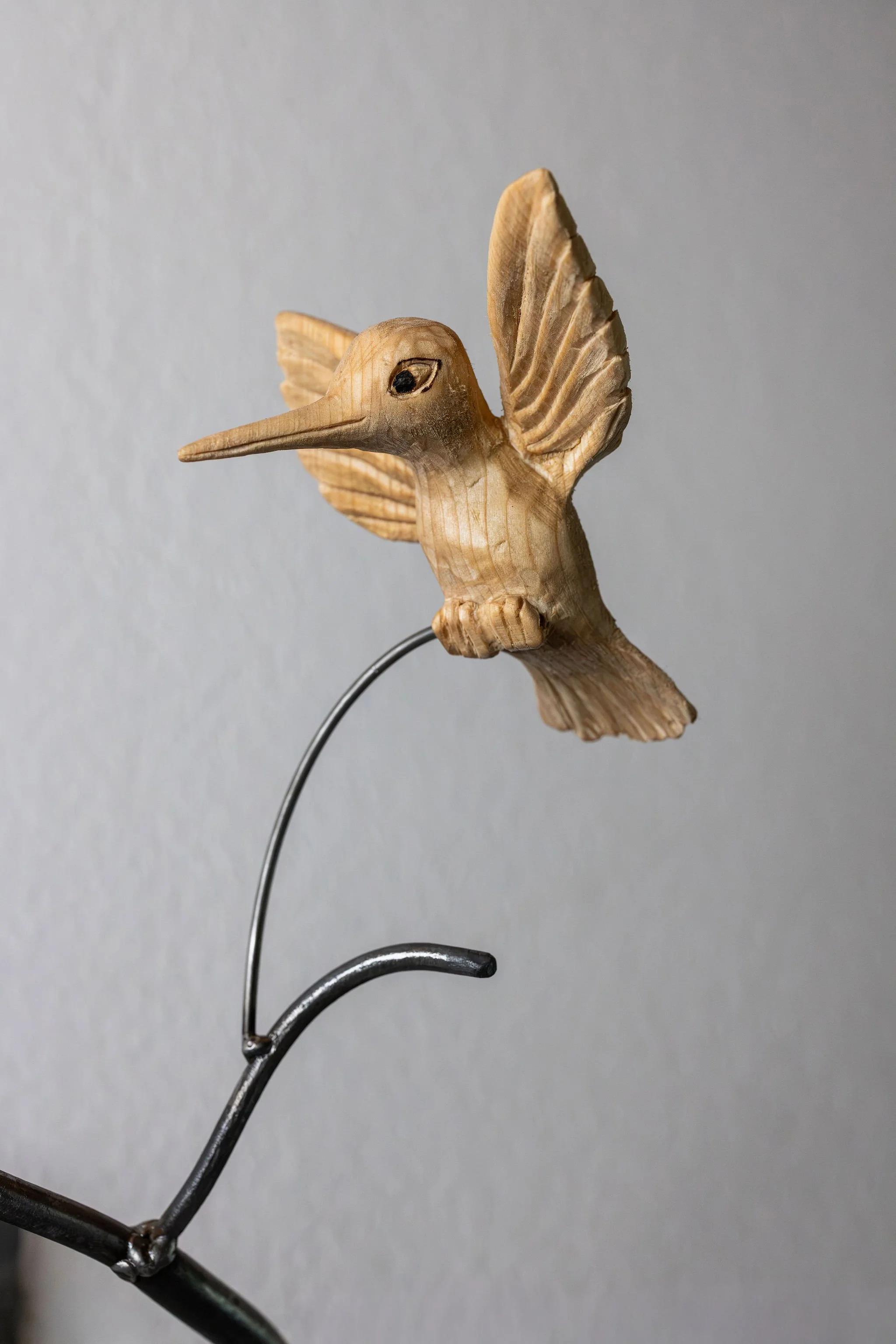 Rachel's Hummingbirds