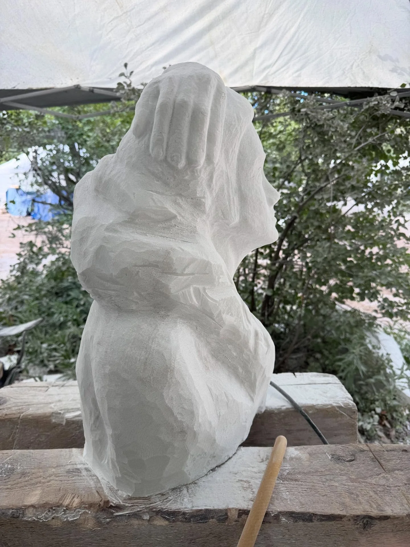 Day four was busy with lots of human distractions. All of them worth it! Here&rsquo;s the Afters&hellip;
#burlycarving
#juliagermanfinearts
