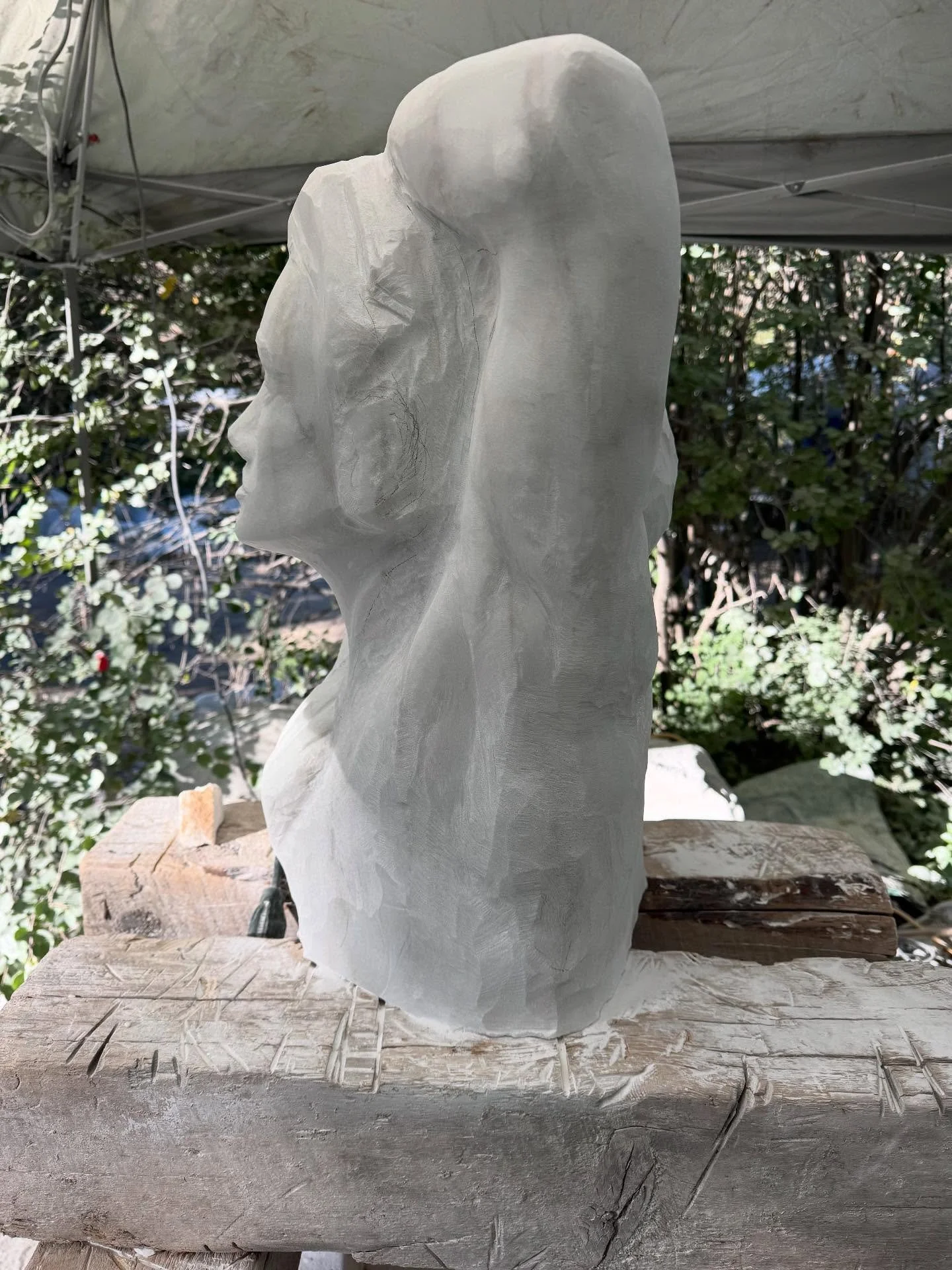 So day 5. Yesterdays pictures were a day old, oops! Here&rsquo;s yesterday&rsquo;s end and today&rsquo;s end as well with some exciting moments in between!

#burlycarving 
#juliagermanfinearts