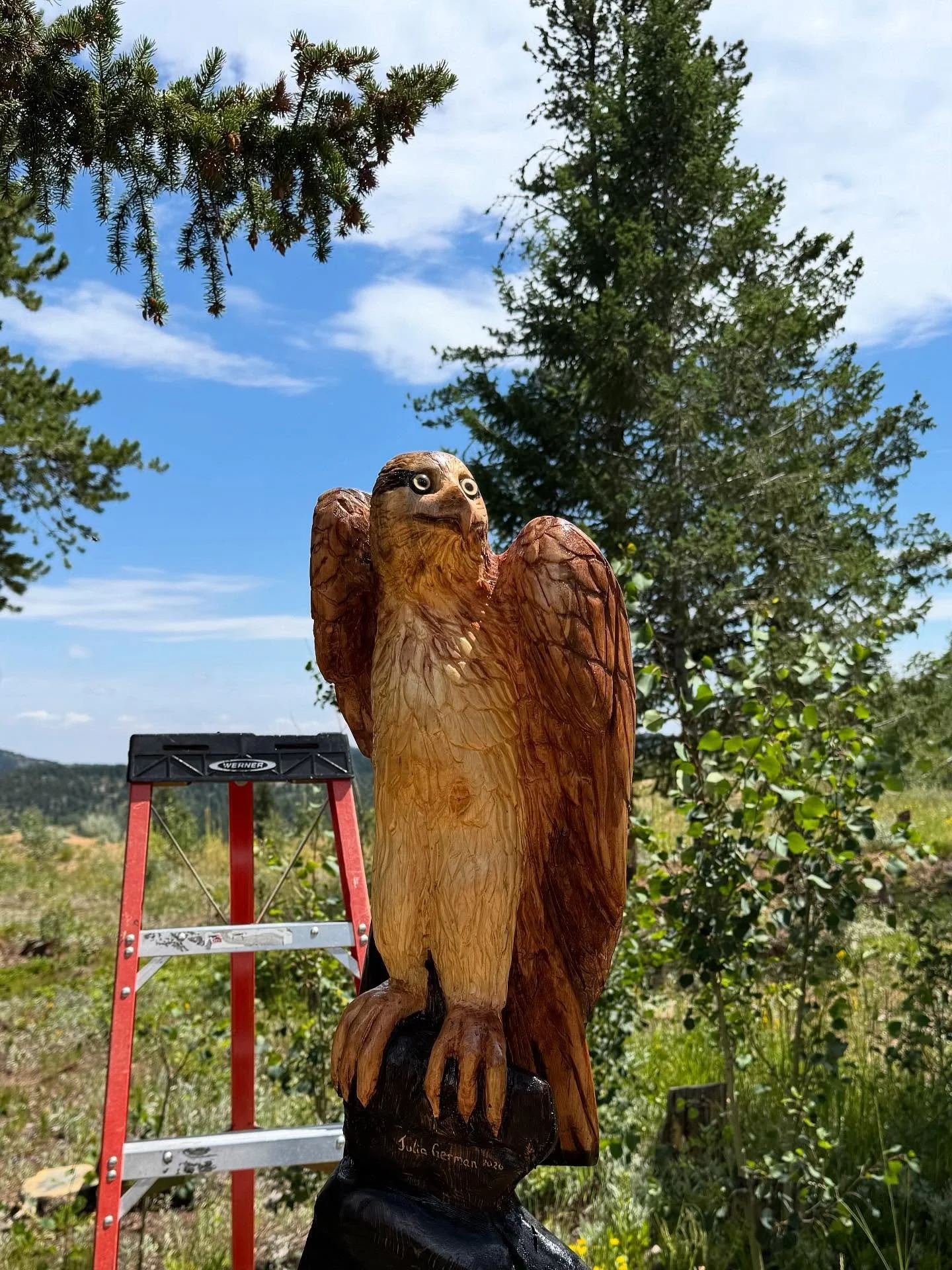Quick update on some little projects. This lovely Osprey for some neighbors here in Nederland and the final fork and spoon set for my hand carving class. I haven&rsquo;t explored many types of finish in my work but on request, we did some stains with