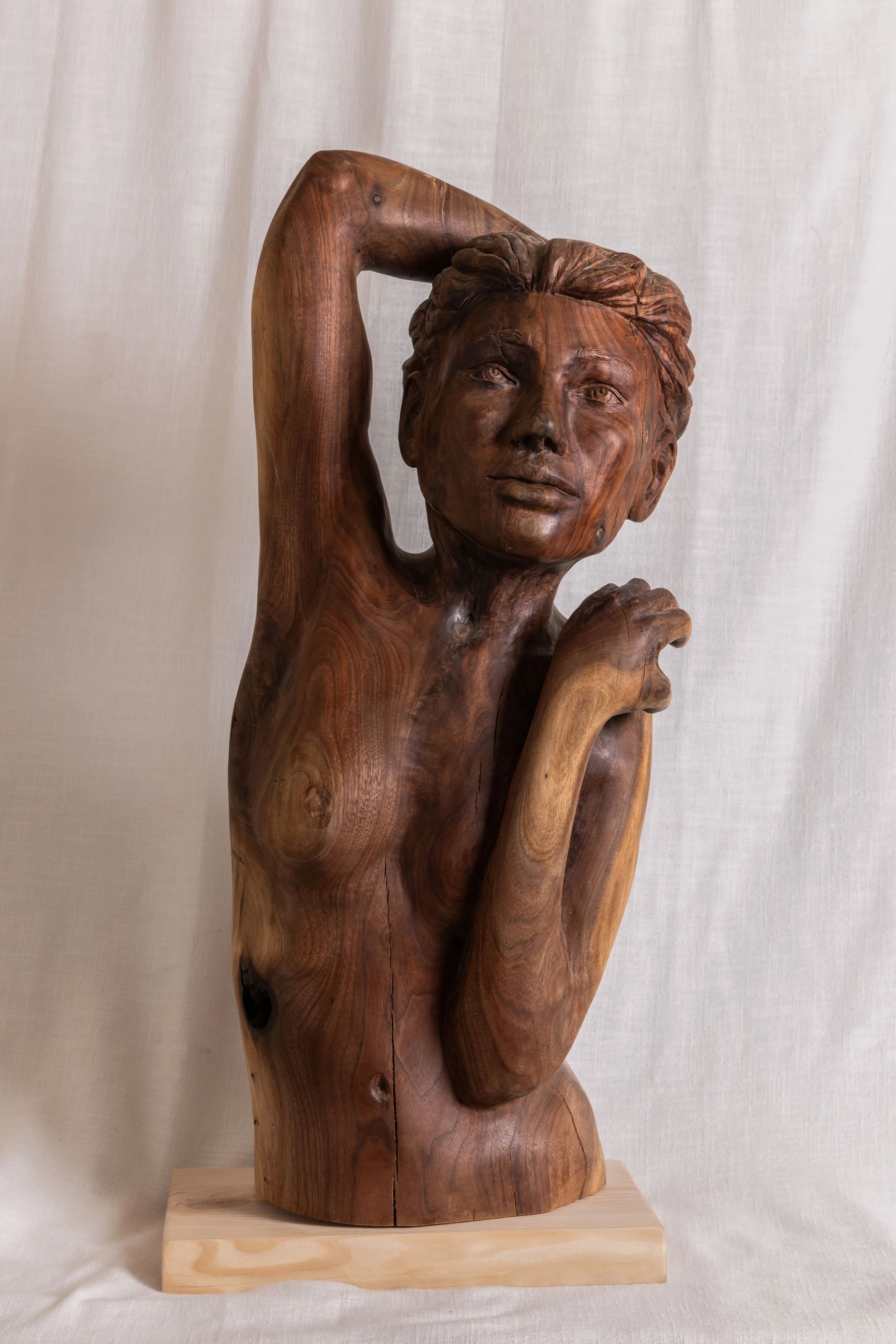 Black Walnut