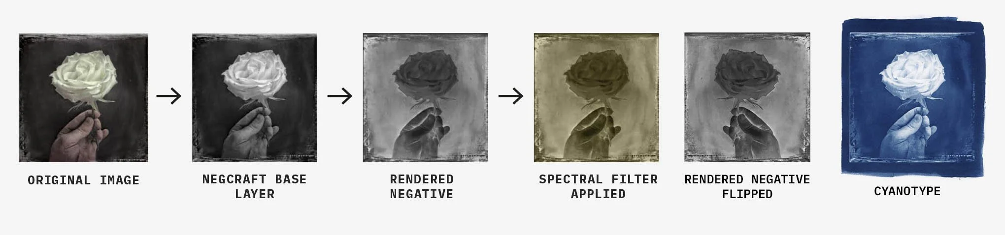 Image-in-progress.jpg