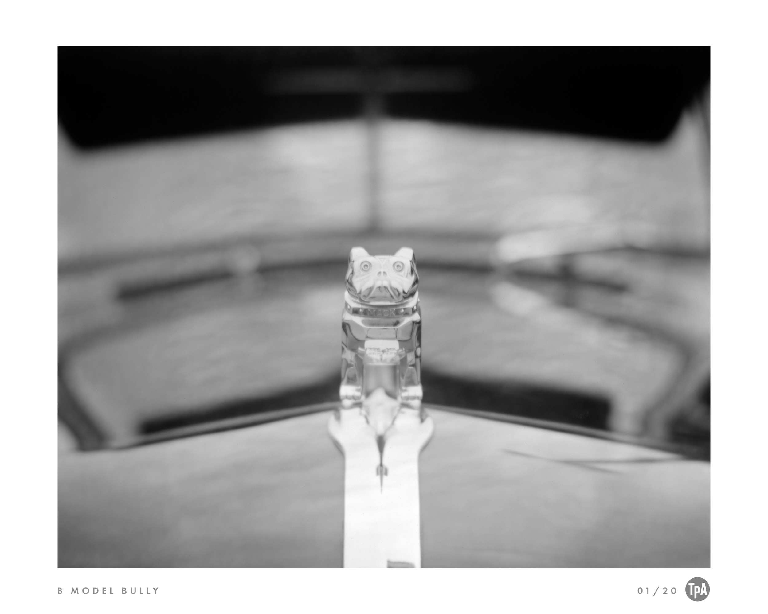 Black-and-white photograph of a small, detailed toy bulldog figurine placed on a reflective surface, with a blurred background.