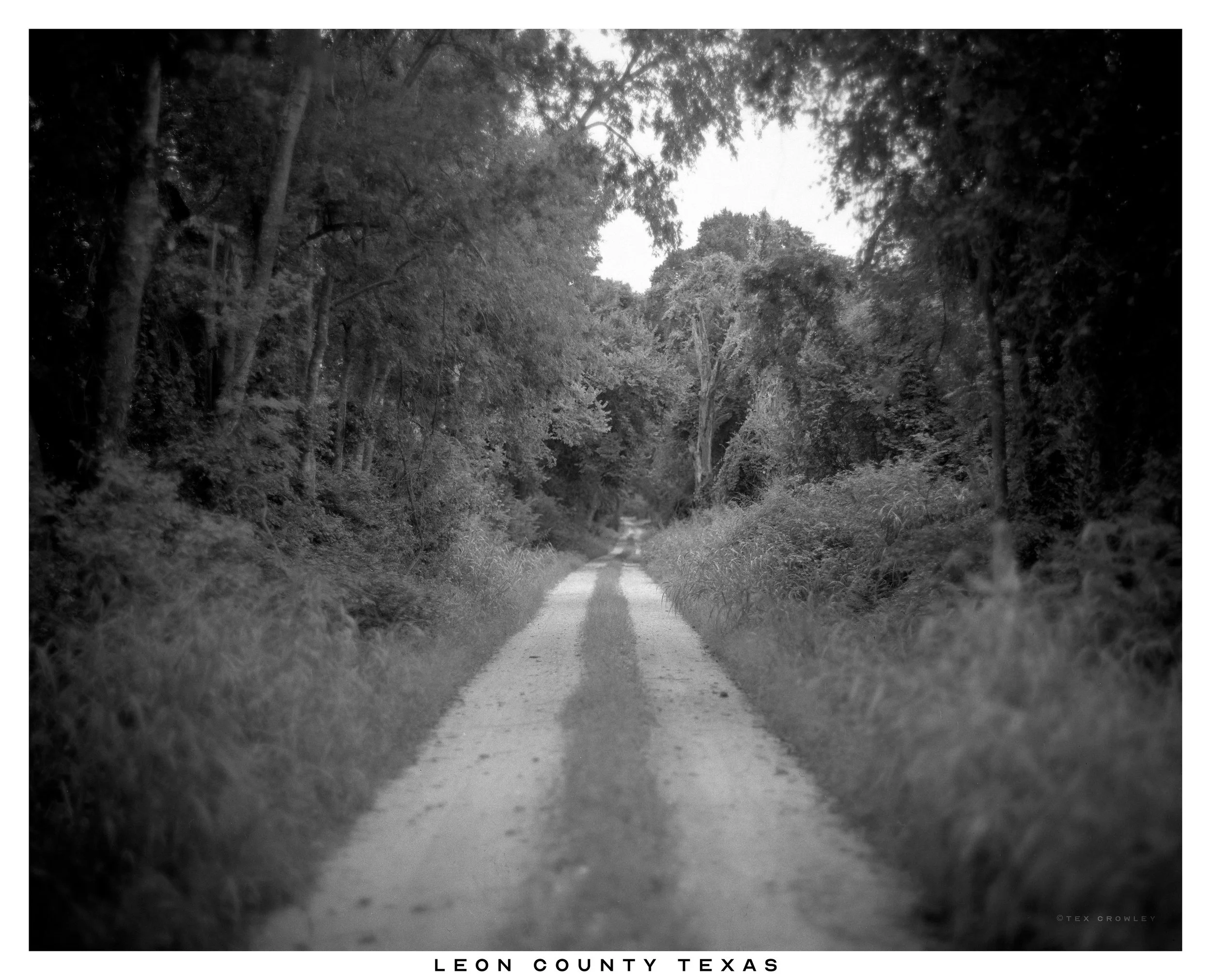 A black-and-white photograph of a narrow dirt road in Leon County, Texas, surrounded by tall trees and dense foliage on both sides, leading into the distance.