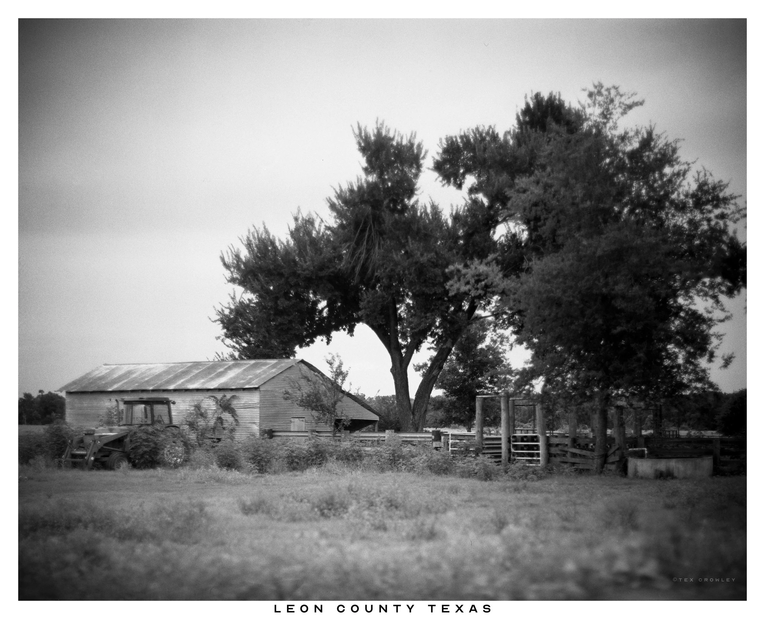 Black and white photo of a rural scene with a large tree, an old barn, a tractor, and a wooden fence in Leon County, Texas.